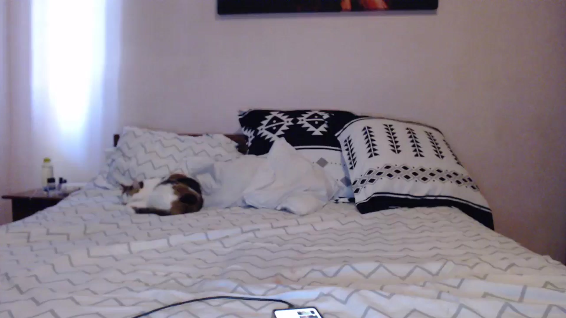 Gallery image thumbnail from Aahh_Emilia's myfreecams stream on, 04/30/2024, 15:49 image 10 of 20