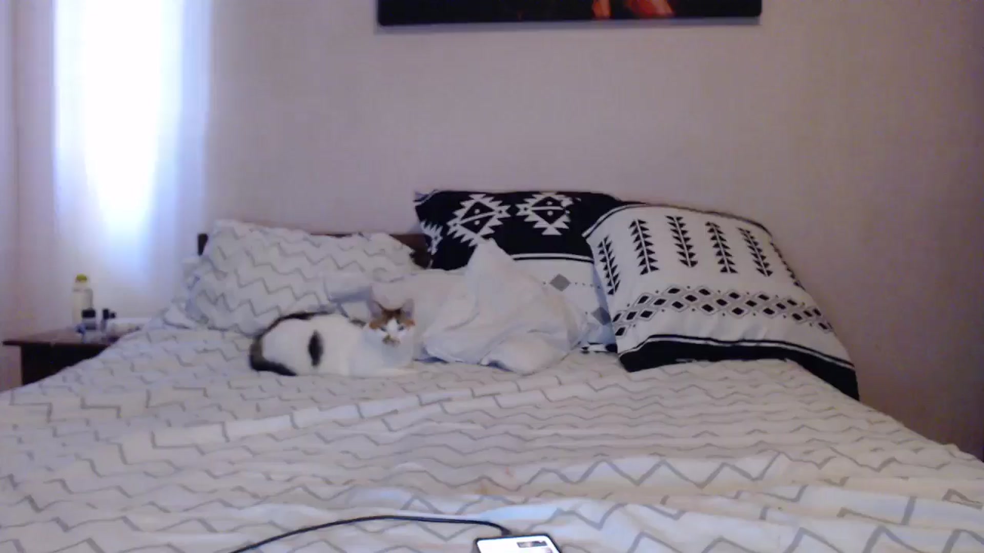Gallery image thumbnail from Aahh_Emilia's myfreecams stream on, 04/30/2024, 15:49 image 8 of 20