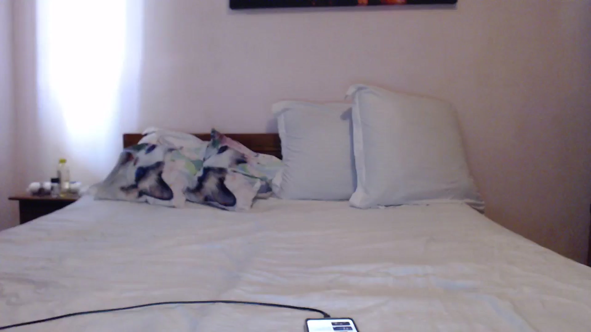 Gallery image thumbnail from Aahh_Emilia's myfreecams stream on, 05/06/2024, 15:46 image 16 of 20