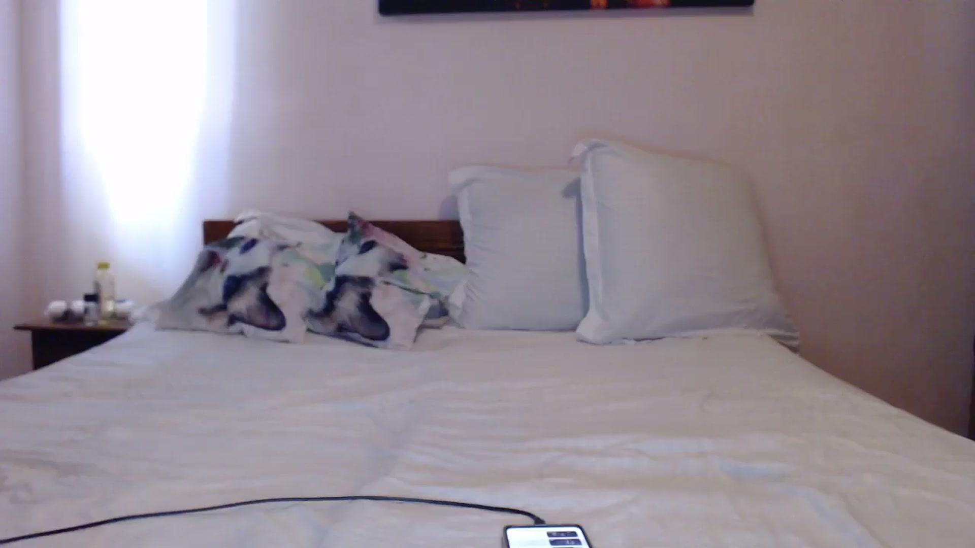 Gallery image thumbnail from Aahh_Emilia's myfreecams stream on, 05/06/2024, 15:46 image 17 of 20