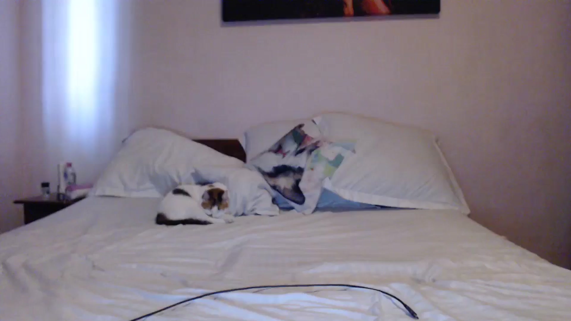 Gallery image thumbnail from Aahh_Emilia's myfreecams stream on, 05/13/2024, 15:28 image 10 of 20