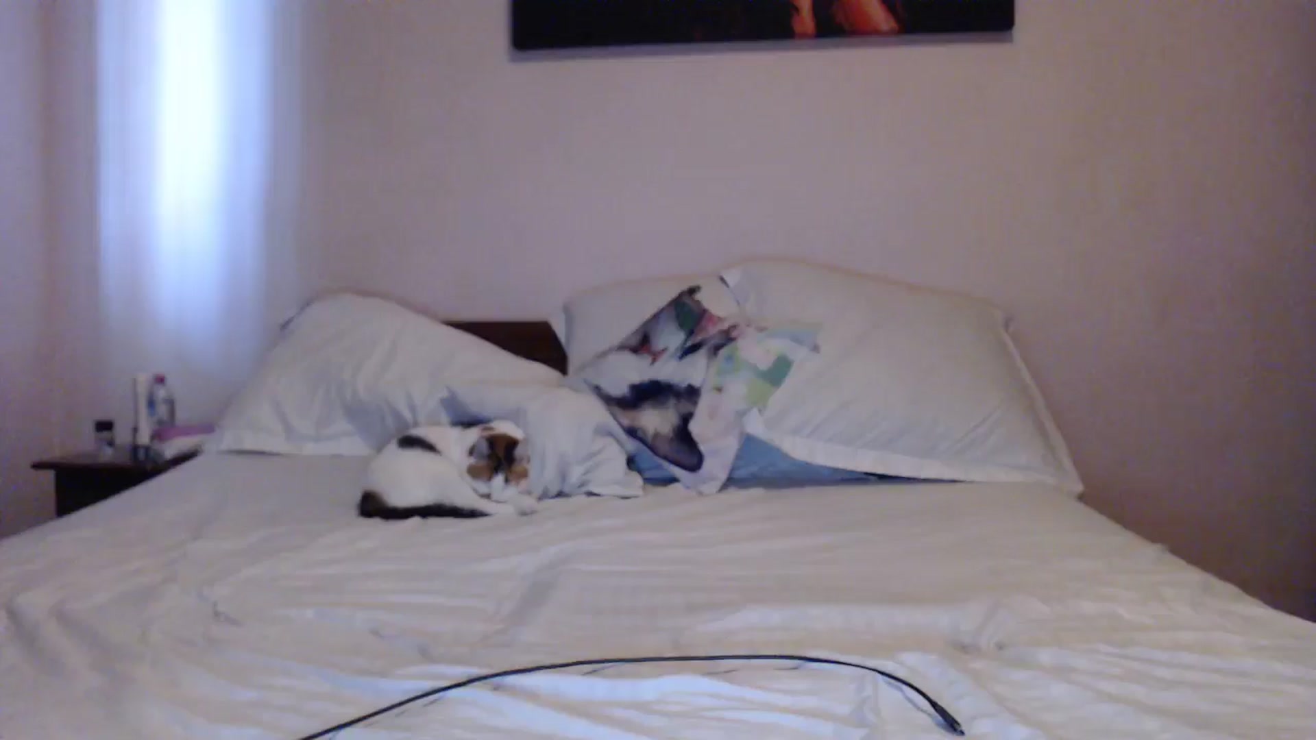 Gallery image thumbnail from Aahh_Emilia's myfreecams stream on, 05/13/2024, 15:28 image 11 of 20