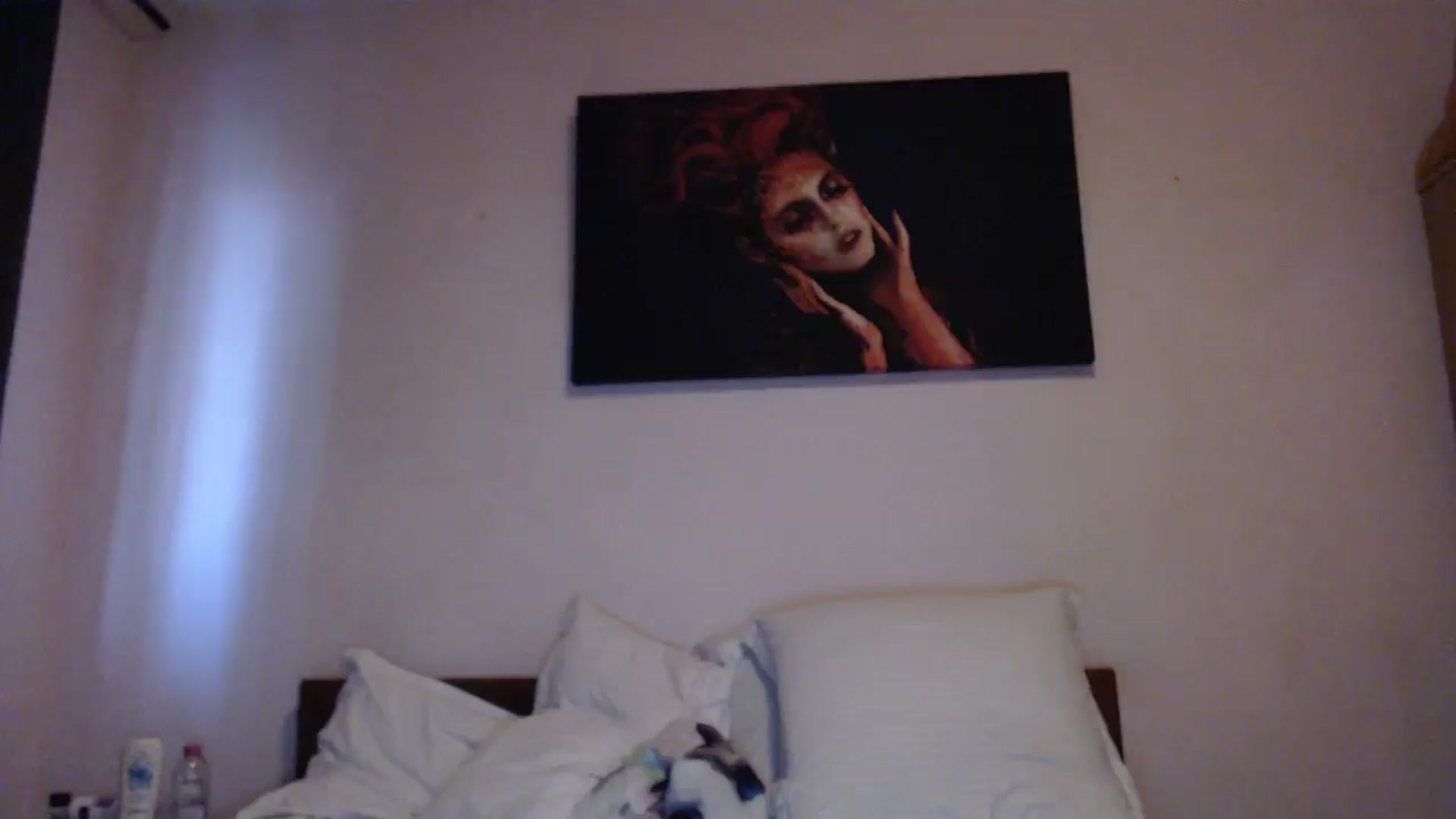 Gallery image thumbnail from Aahh_Emilia's myfreecams stream on, 05/15/2024, 17:39 image 10 of 20