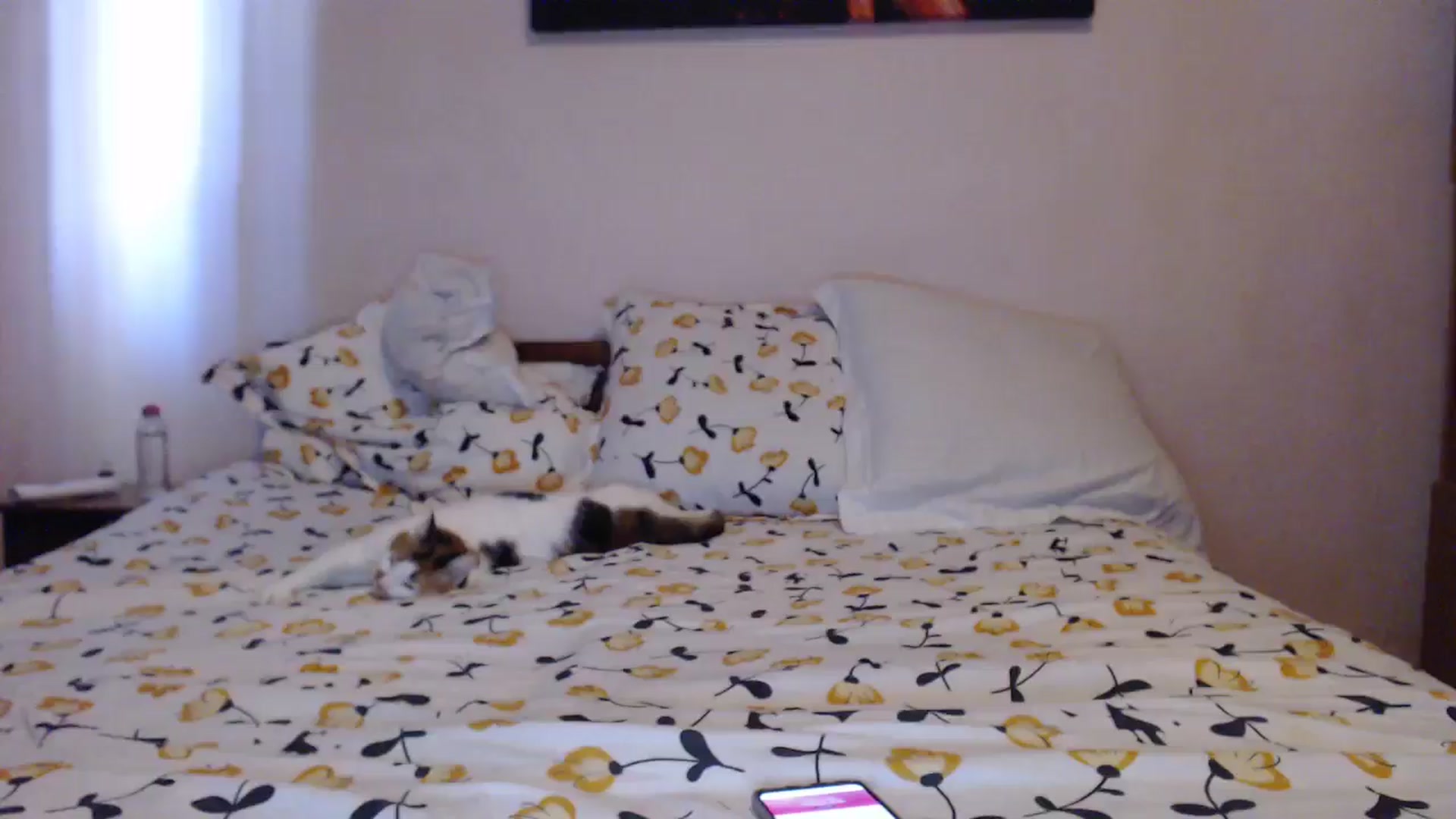 Gallery image thumbnail from Aahh_Emilia's myfreecams stream on, 05/23/2024, 16:20 image 15 of 20