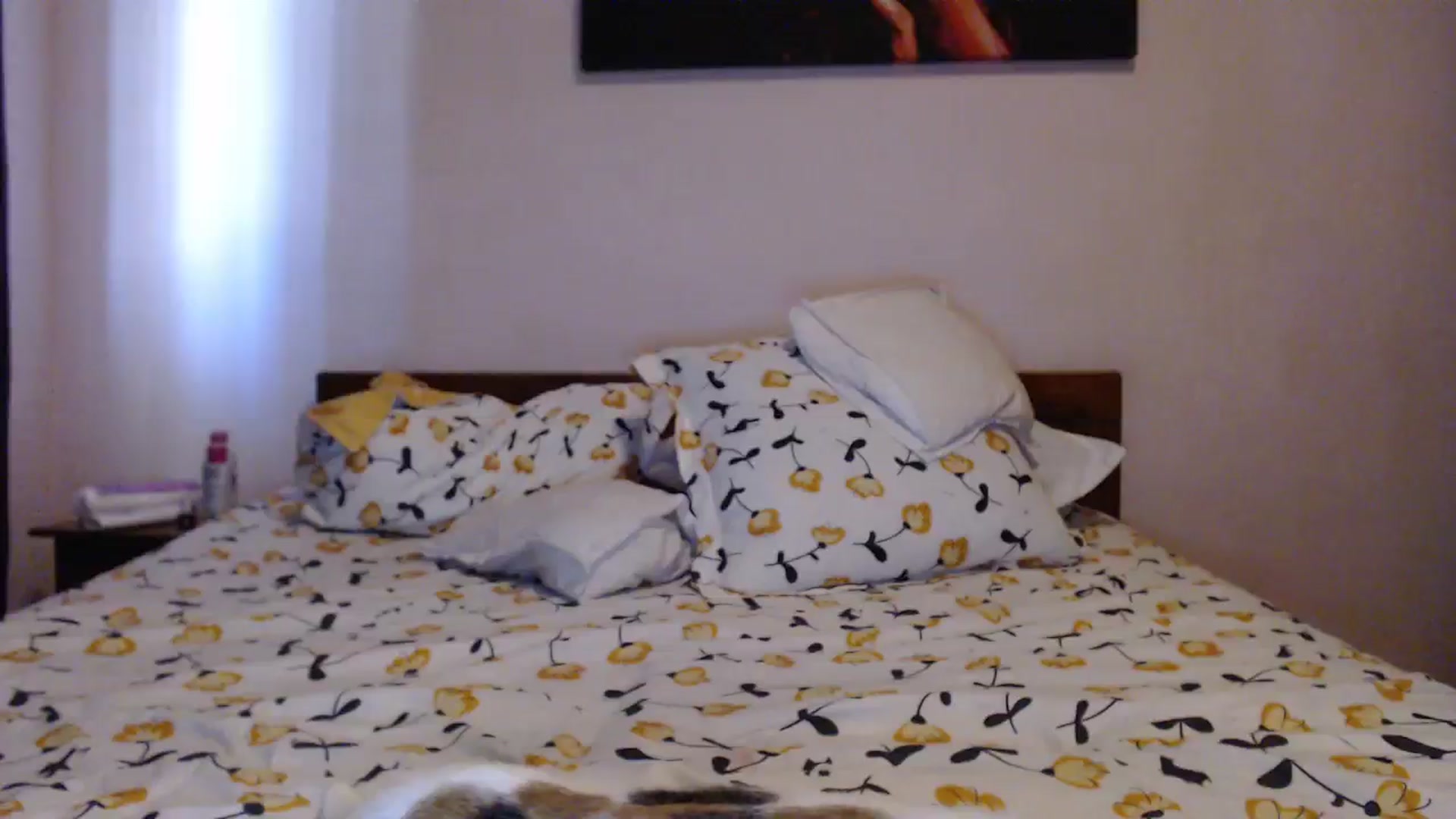 Gallery image thumbnail from Aahh_Emilia's myfreecams stream on, 05/24/2024, 17:26 image 9 of 20