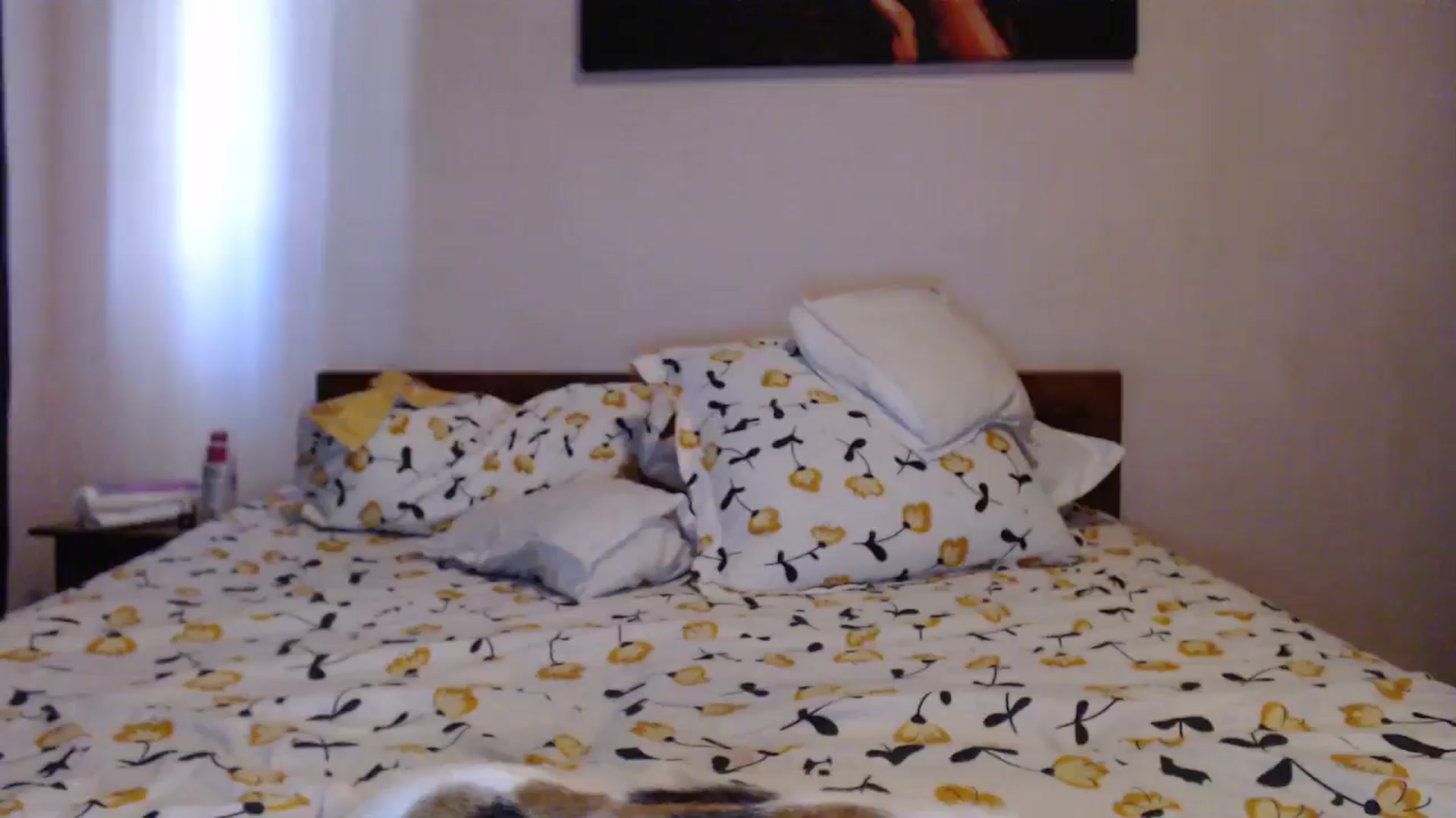 Gallery image thumbnail from Aahh_Emilia's myfreecams stream on, 05/24/2024, 17:26 image 8 of 20