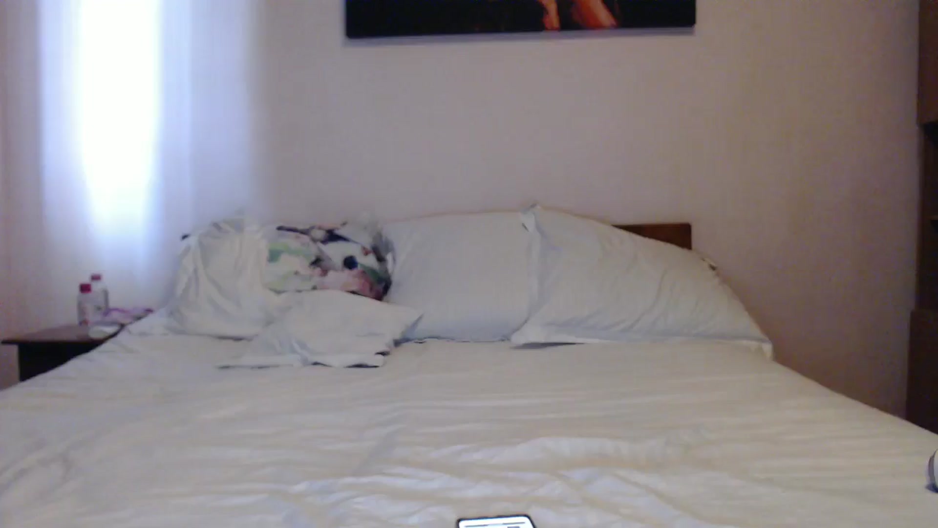 Gallery image thumbnail from Aahh_Emilia's myfreecams stream on, 05/30/2024, 16:02 image 9 of 20