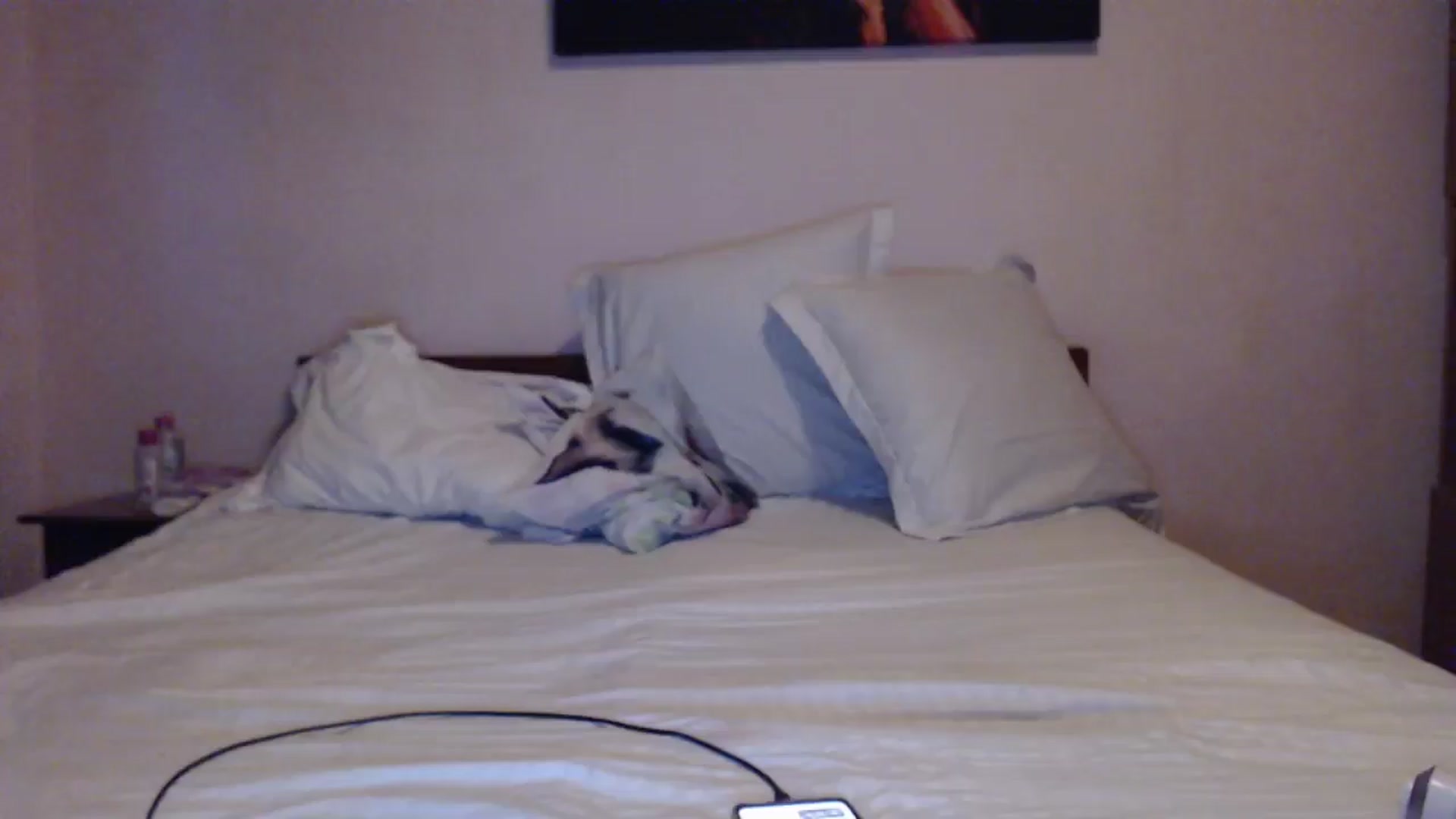 Gallery image thumbnail from Aahh_Emilia's myfreecams stream on, 05/30/2024, 18:19 image 18 of 20