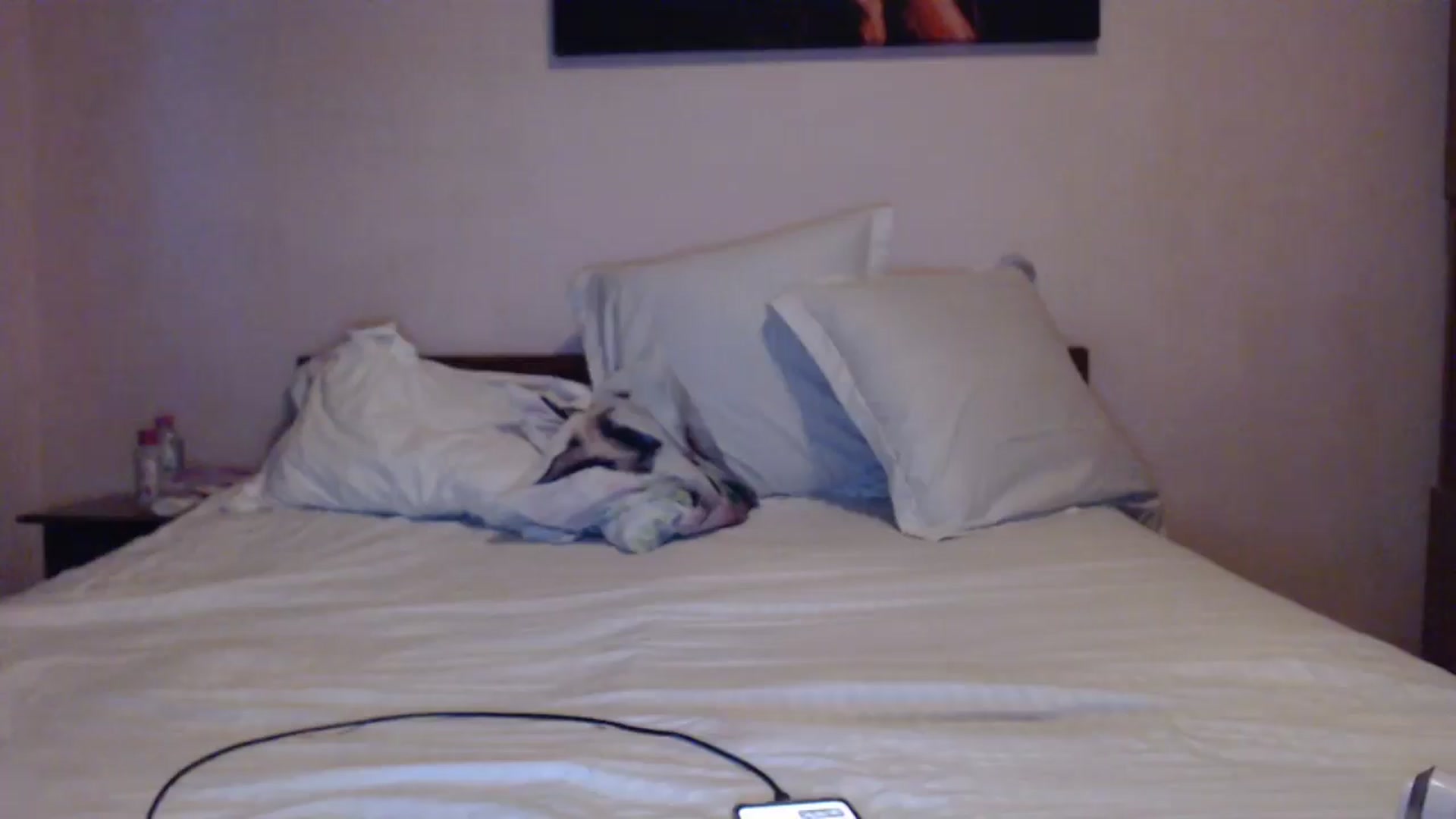 Gallery image thumbnail from Aahh_Emilia's myfreecams stream on, 05/30/2024, 18:19 image 17 of 20