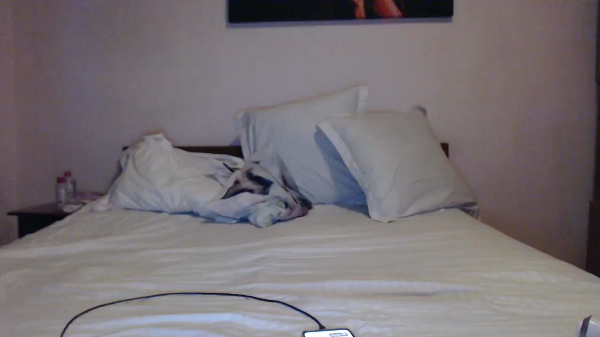 Gallery image thumbnail from Aahh_Emilia's myfreecams stream on, 05/30/2024, 18:19 image 19 of 20