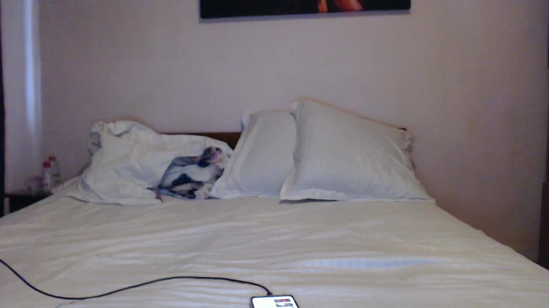 Gallery image thumbnail from Aahh_Emilia's myfreecams stream on, 05/31/2024, 15:47 image 13 of 20