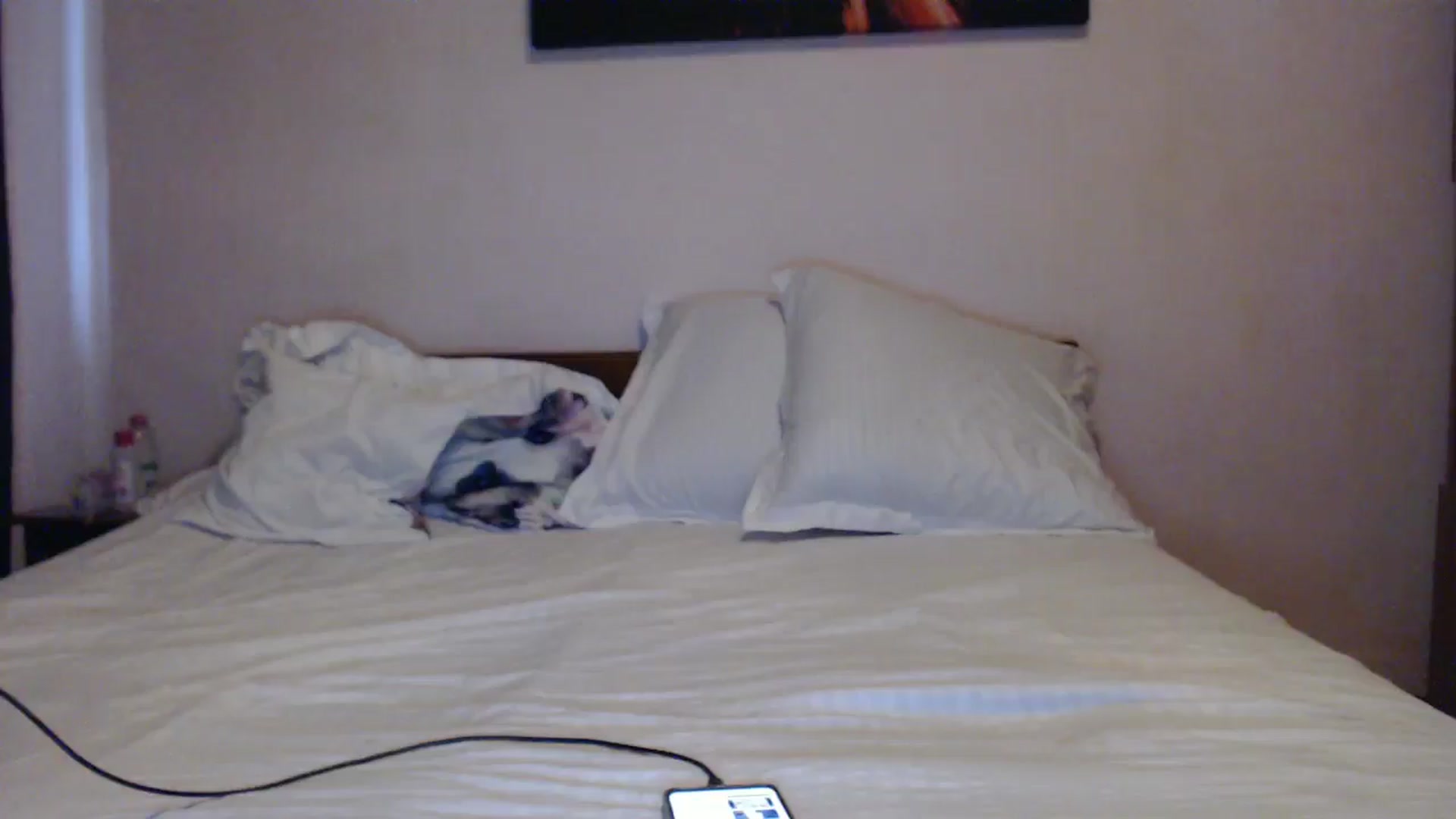 Gallery image thumbnail from Aahh_Emilia's myfreecams stream on, 05/31/2024, 15:47 image 11 of 20