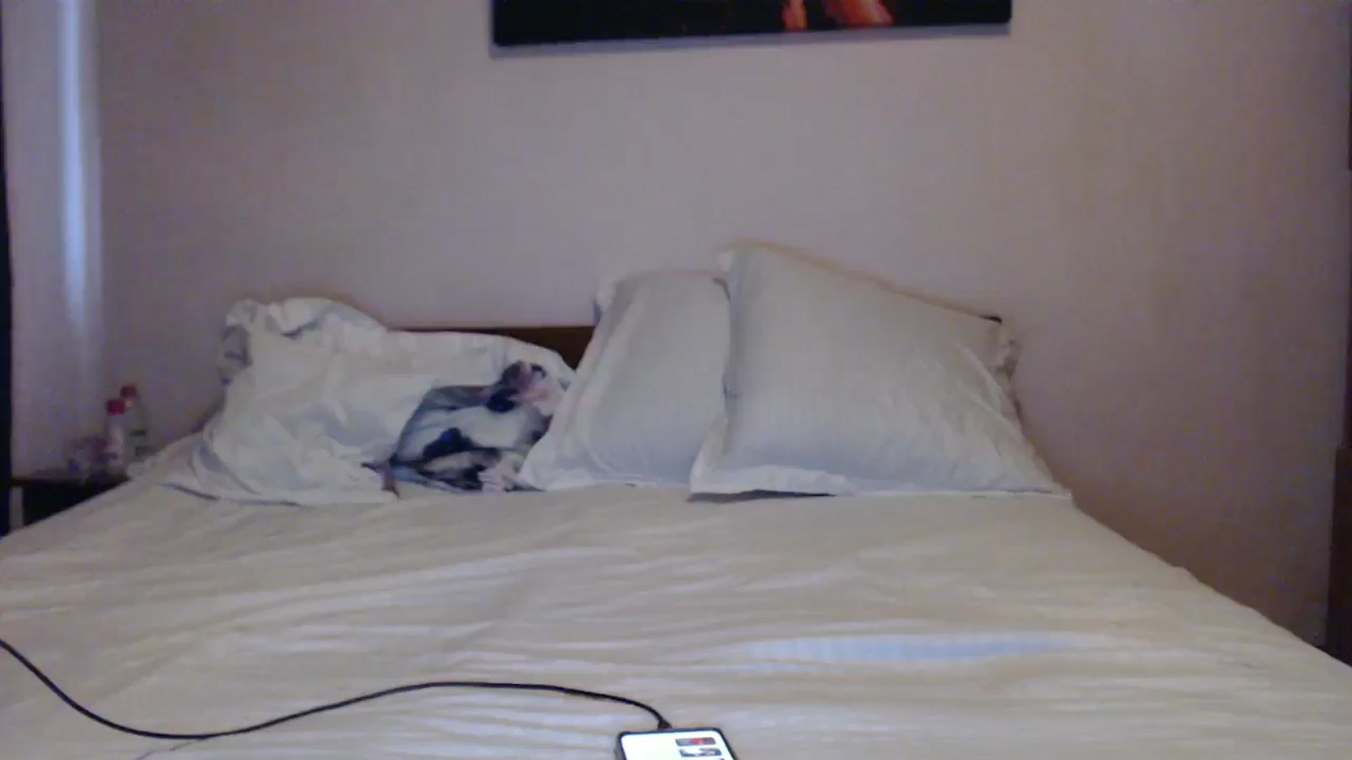 Gallery image thumbnail from Aahh_Emilia's myfreecams stream on, 05/31/2024, 15:47 image 15 of 20