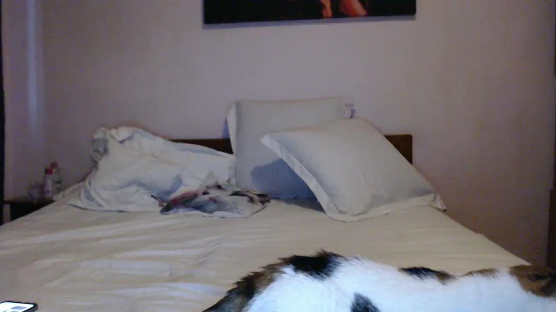 Gallery image thumbnail from Aahh_Emilia's myfreecams stream on, 05/31/2024, 17:50 image 14 of 20