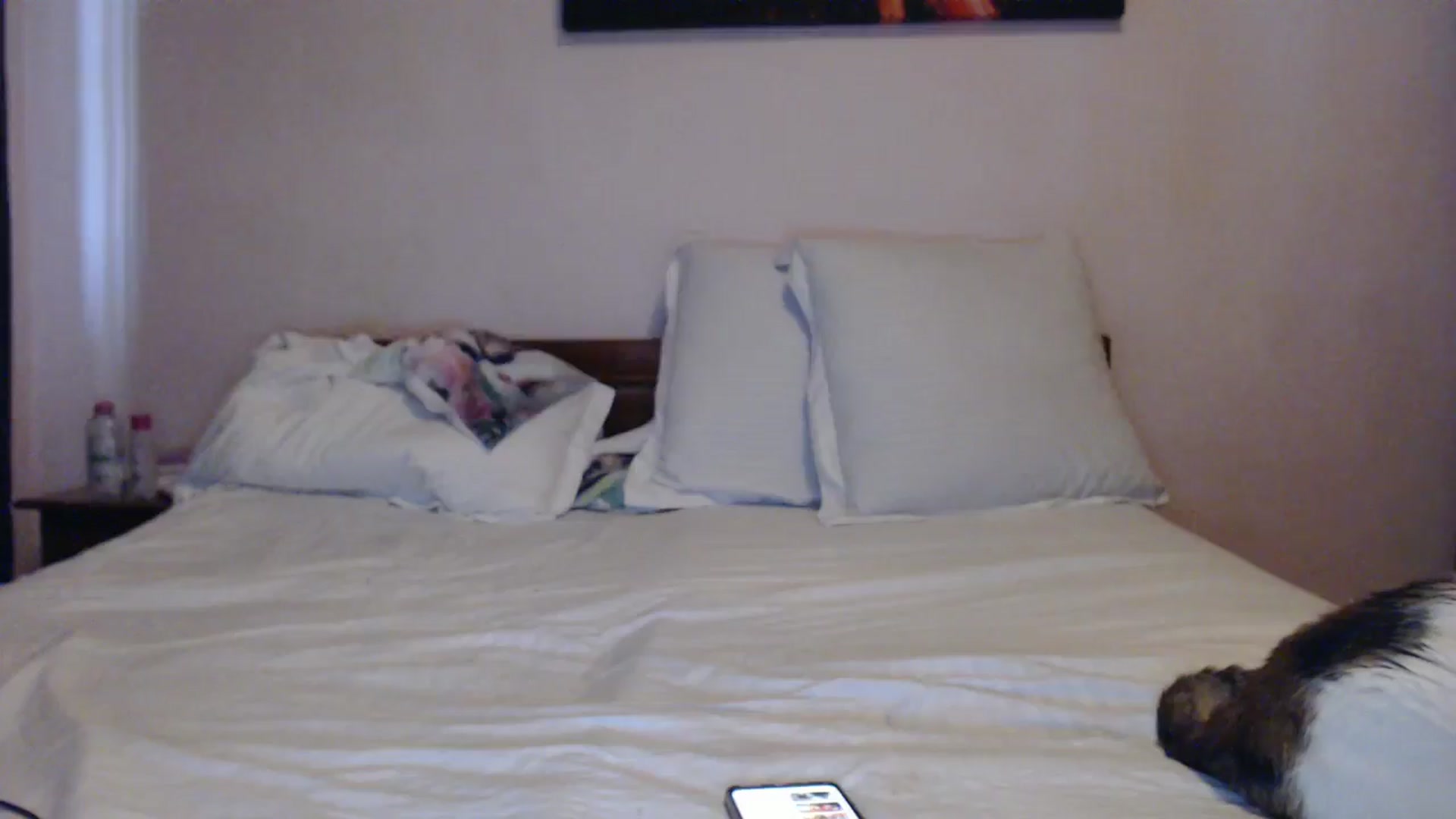Gallery image thumbnail from Aahh_Emilia's myfreecams stream on, 06/01/2024, 15:59 image 13 of 20