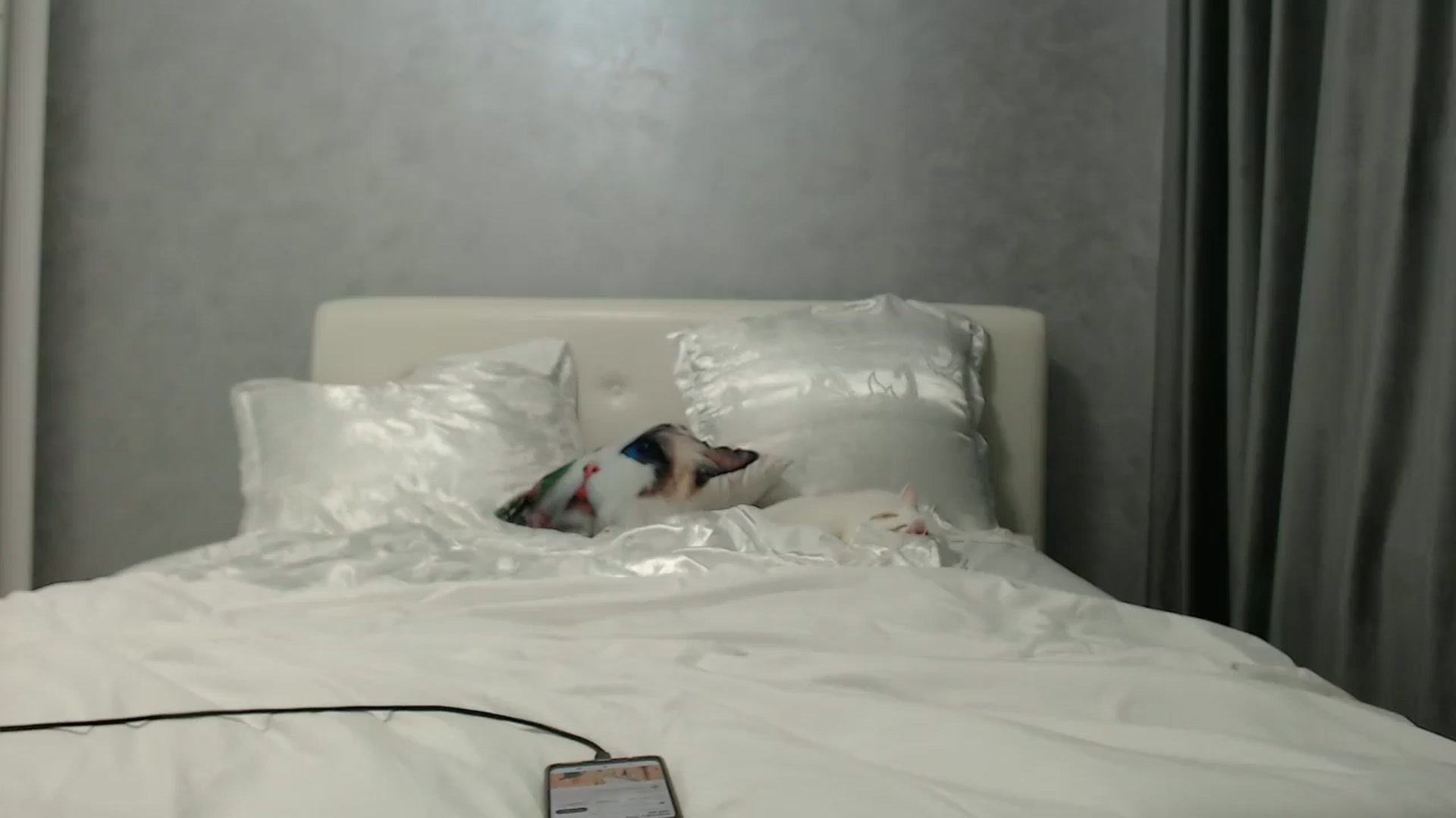 Gallery image thumbnail from Aahh_Emilia's myfreecams stream on, 06/13/2024, 16:07 image 15 of 20