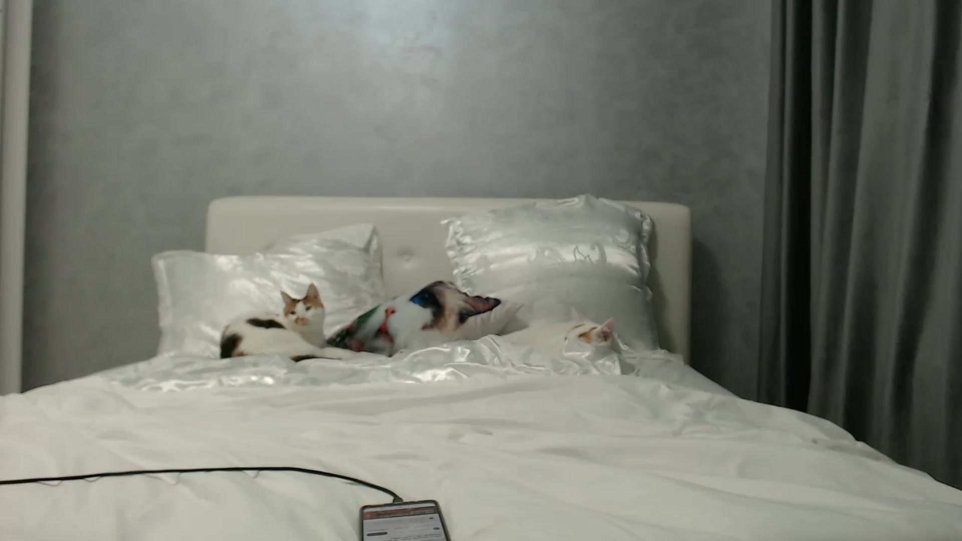 Gallery image thumbnail from Aahh_Emilia's myfreecams stream on, 06/13/2024, 16:07 image 13 of 20