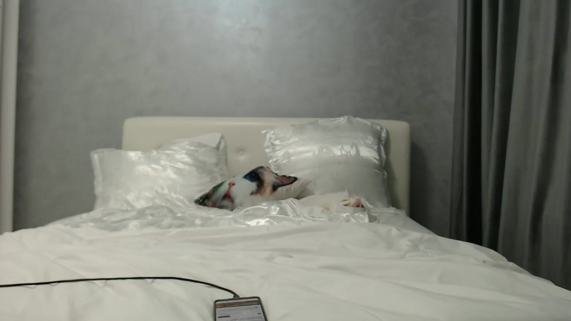 Gallery image thumbnail from Aahh_Emilia's myfreecams stream on, 06/13/2024, 16:07 image 14 of 20
