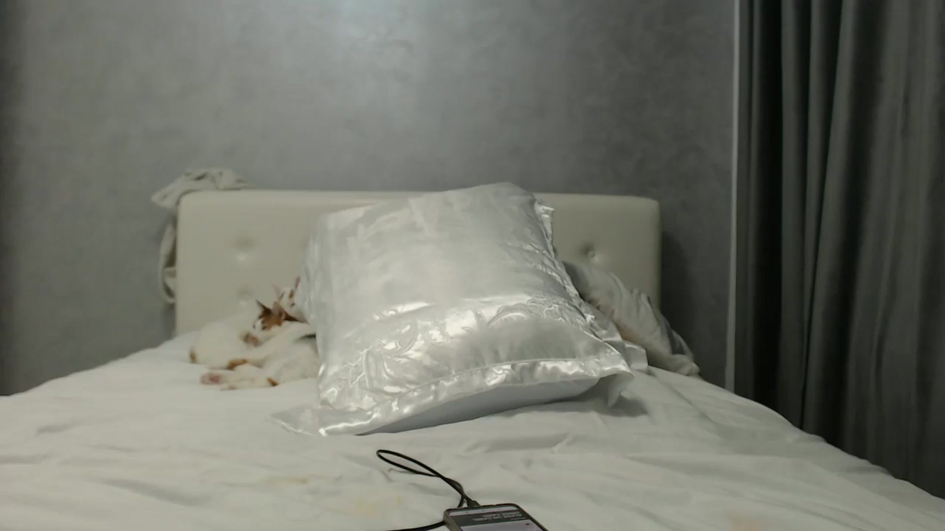 Gallery image thumbnail from Aahh_Emilia's myfreecams stream on, 06/16/2024, 16:02 image 13 of 20