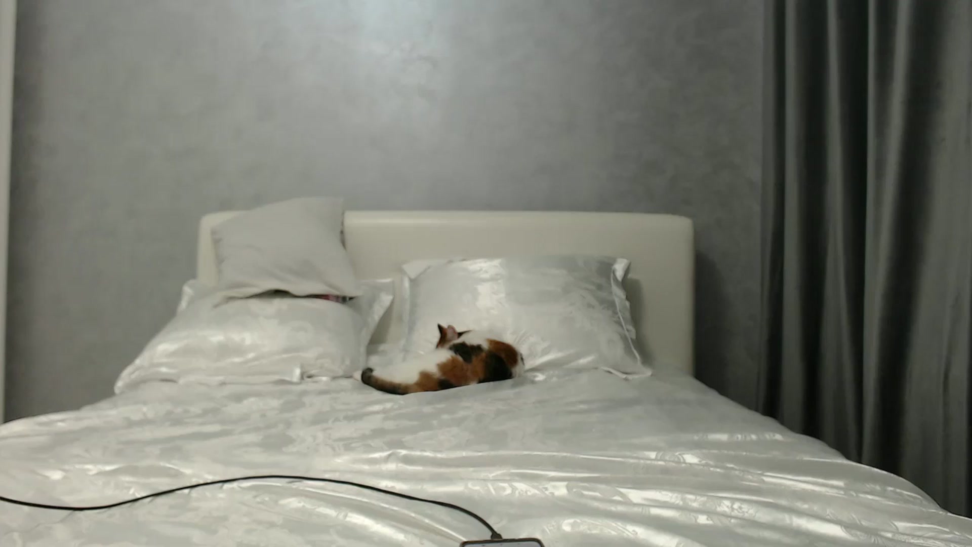 Gallery image thumbnail from Aahh_Emilia's myfreecams stream on, 06/19/2024, 16:17 image 9 of 20