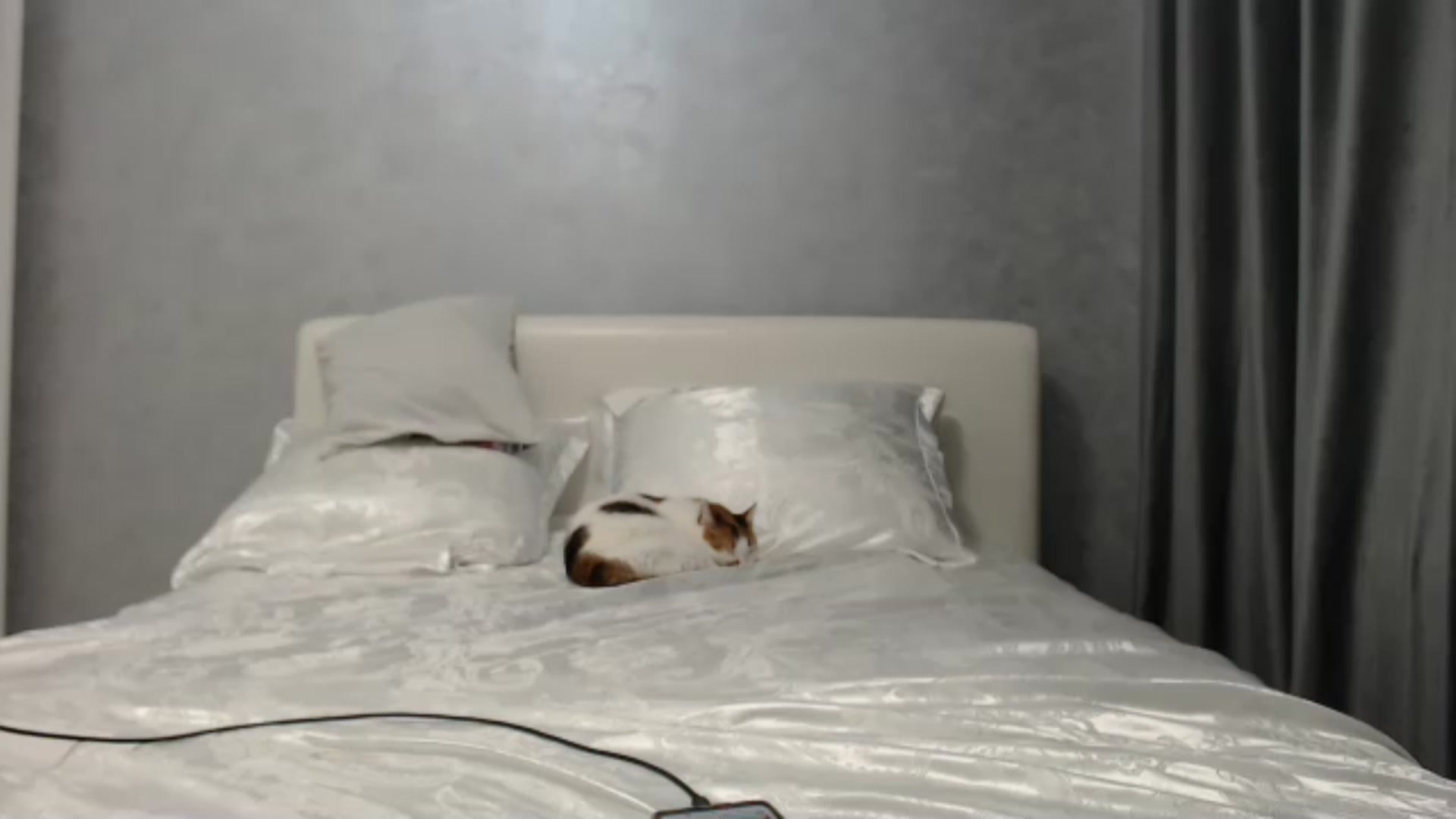 Gallery image thumbnail from Aahh_Emilia's myfreecams stream on, 06/19/2024, 16:17 image 18 of 20