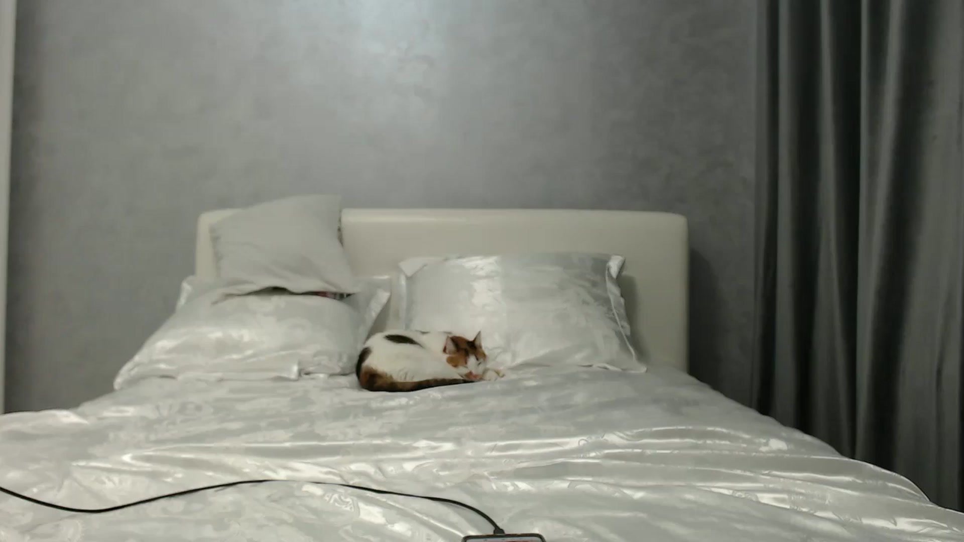 Gallery image thumbnail from Aahh_Emilia's myfreecams stream on, 06/19/2024, 16:17 image 4 of 20