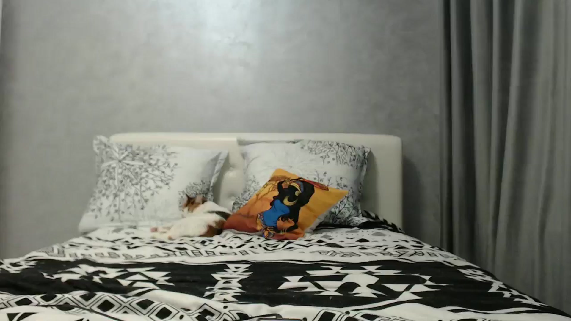 Gallery image thumbnail from Aahh_Emilia's myfreecams stream on, 06/25/2024, 16:36 image 19 of 20