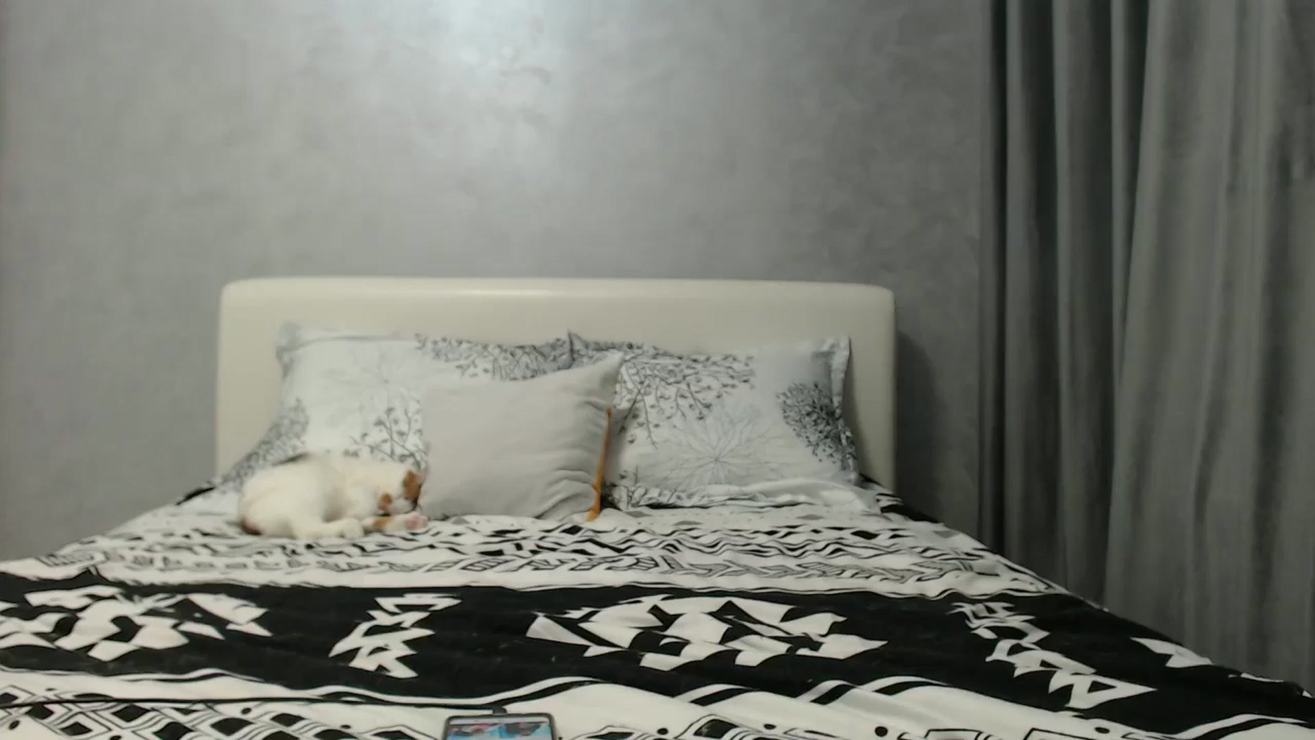 Gallery image thumbnail from Aahh_Emilia's myfreecams stream on, 06/26/2024, 16:21 image 13 of 20