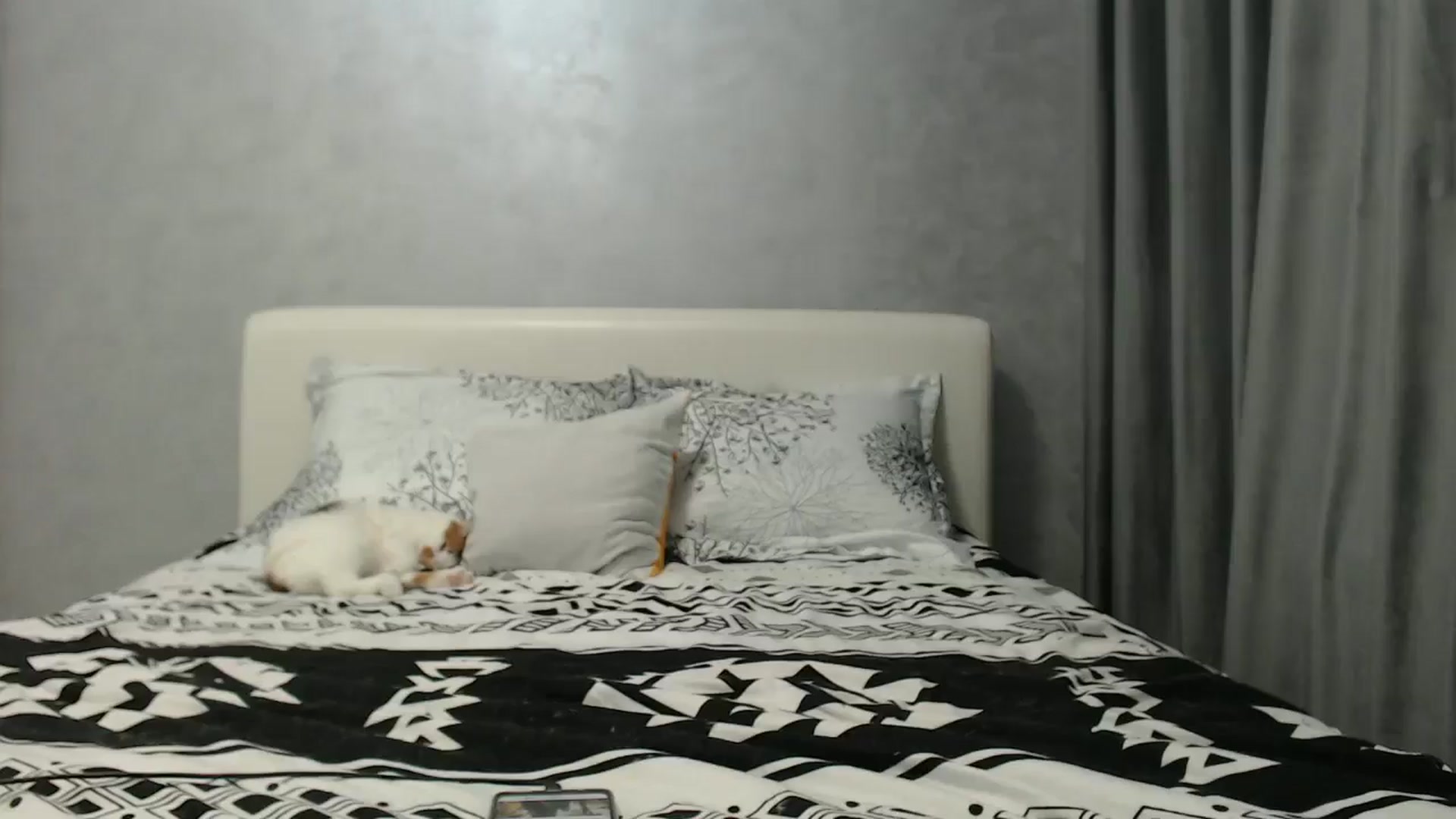 Gallery image thumbnail from Aahh_Emilia's myfreecams stream on, 06/26/2024, 16:21 image 14 of 20