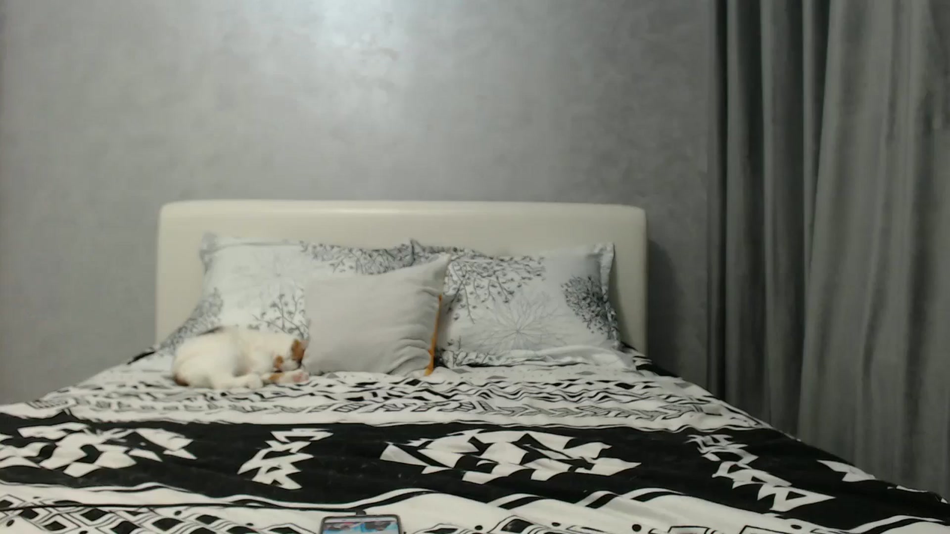 Gallery image thumbnail from Aahh_Emilia's myfreecams stream on, 06/26/2024, 16:21 image 12 of 20