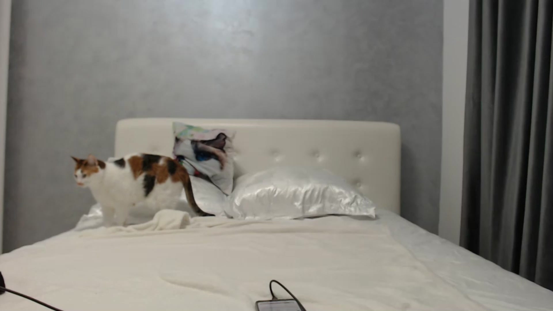 Gallery image thumbnail from Aahh_Emilia's myfreecams stream on, 07/06/2024, 15:51 image 7 of 20