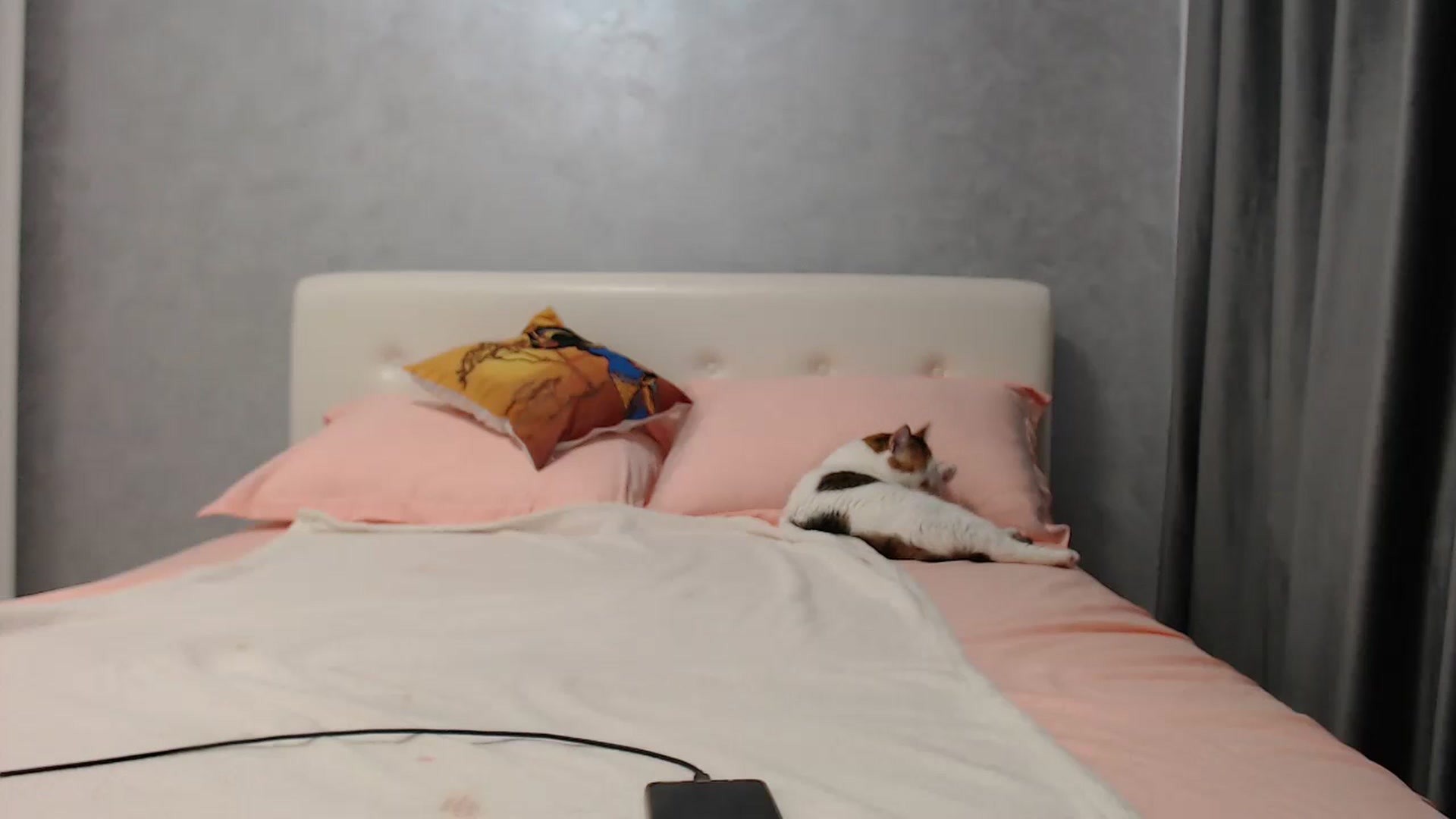 Gallery image thumbnail from Aahh_Emilia's myfreecams stream on, 07/15/2024, 16:27 image 9 of 20