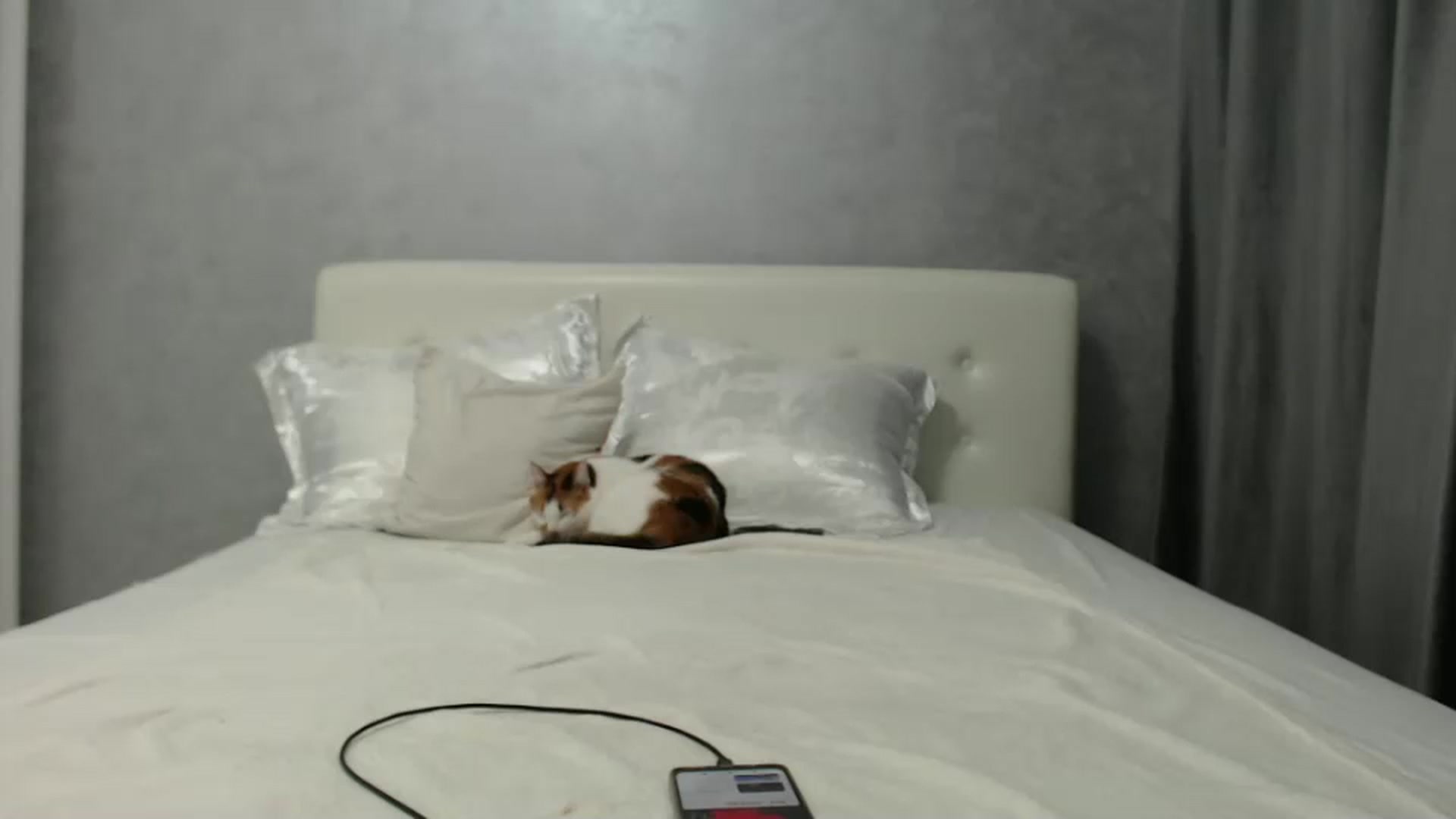 Gallery image thumbnail from Aahh_Emilia's myfreecams stream on, 07/28/2024, 16:48 image 12 of 20