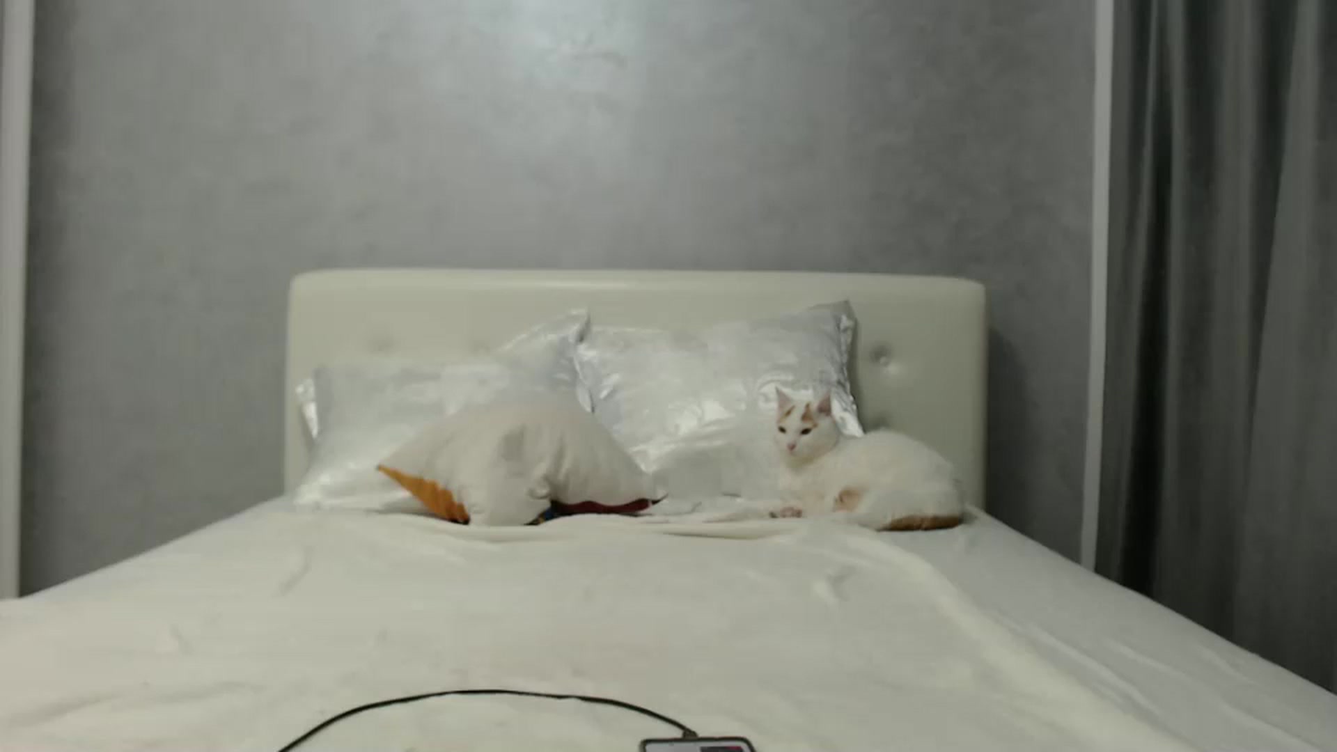 Gallery image thumbnail from Aahh_Emilia's myfreecams stream on, 07/31/2024, 16:32 image 12 of 20