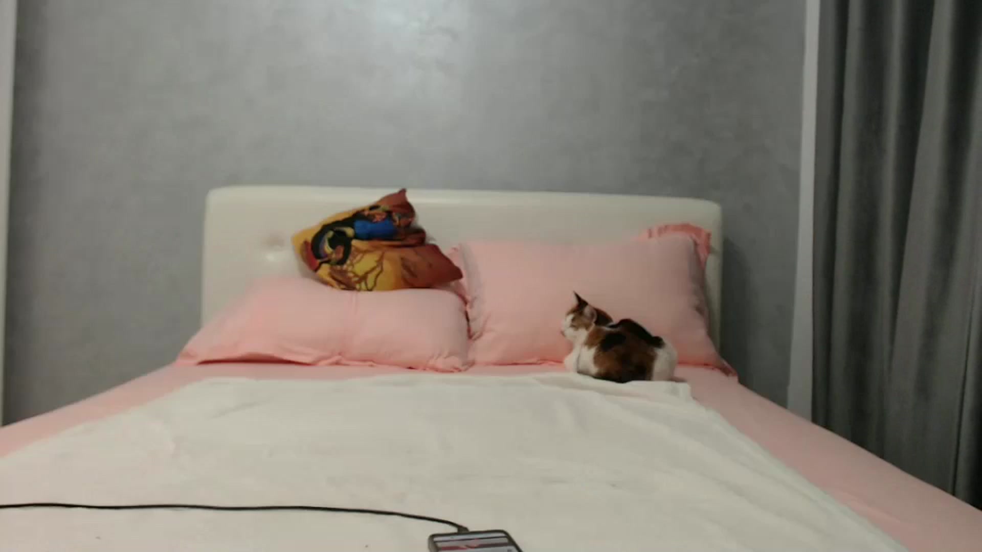 Gallery image thumbnail from Aahh_Emilia's myfreecams stream on, 08/02/2024, 16:34 image 16 of 20