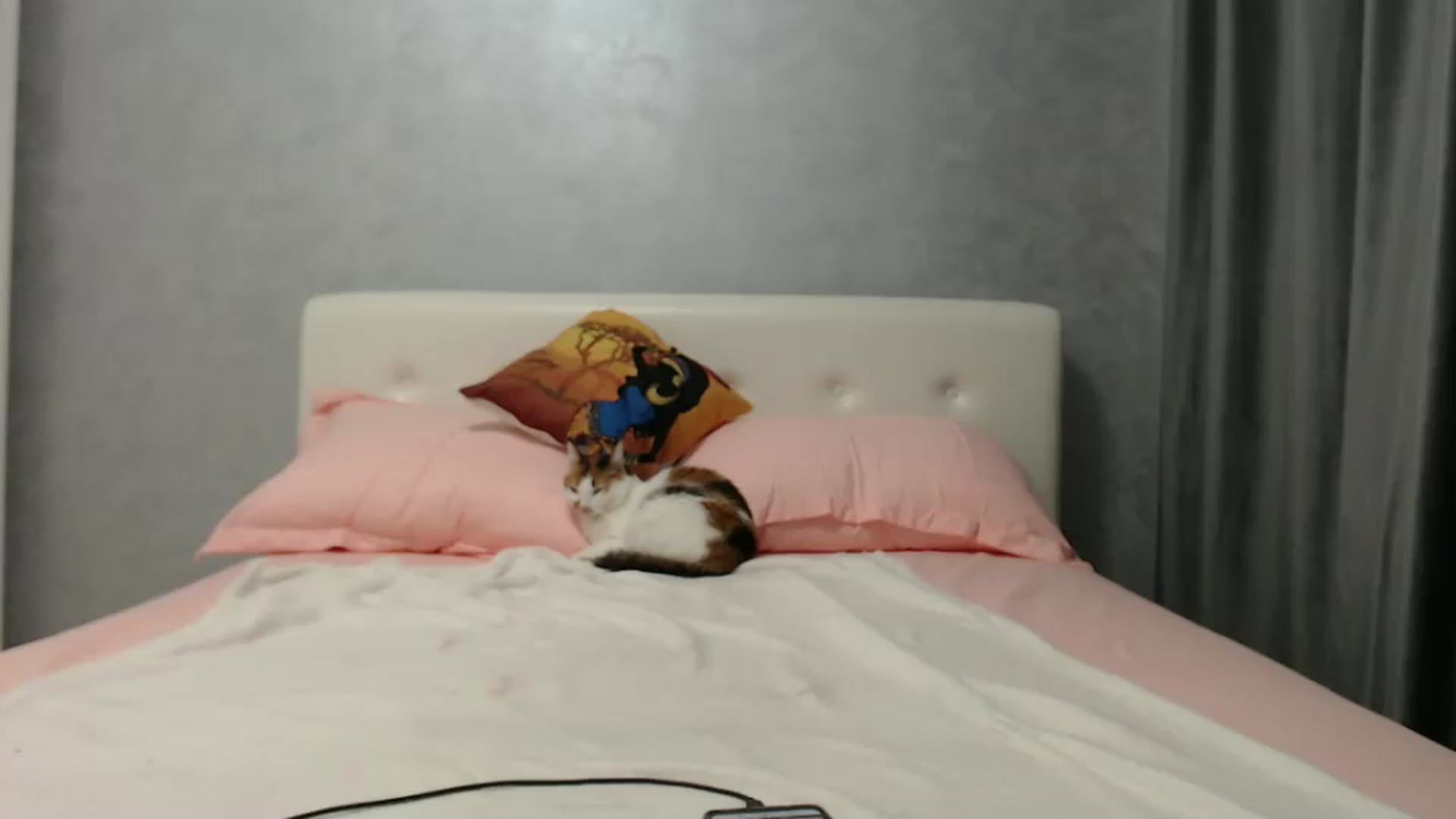 Gallery image thumbnail from Aahh_Emilia's myfreecams stream on, 08/04/2024, 17:12 image 5 of 20