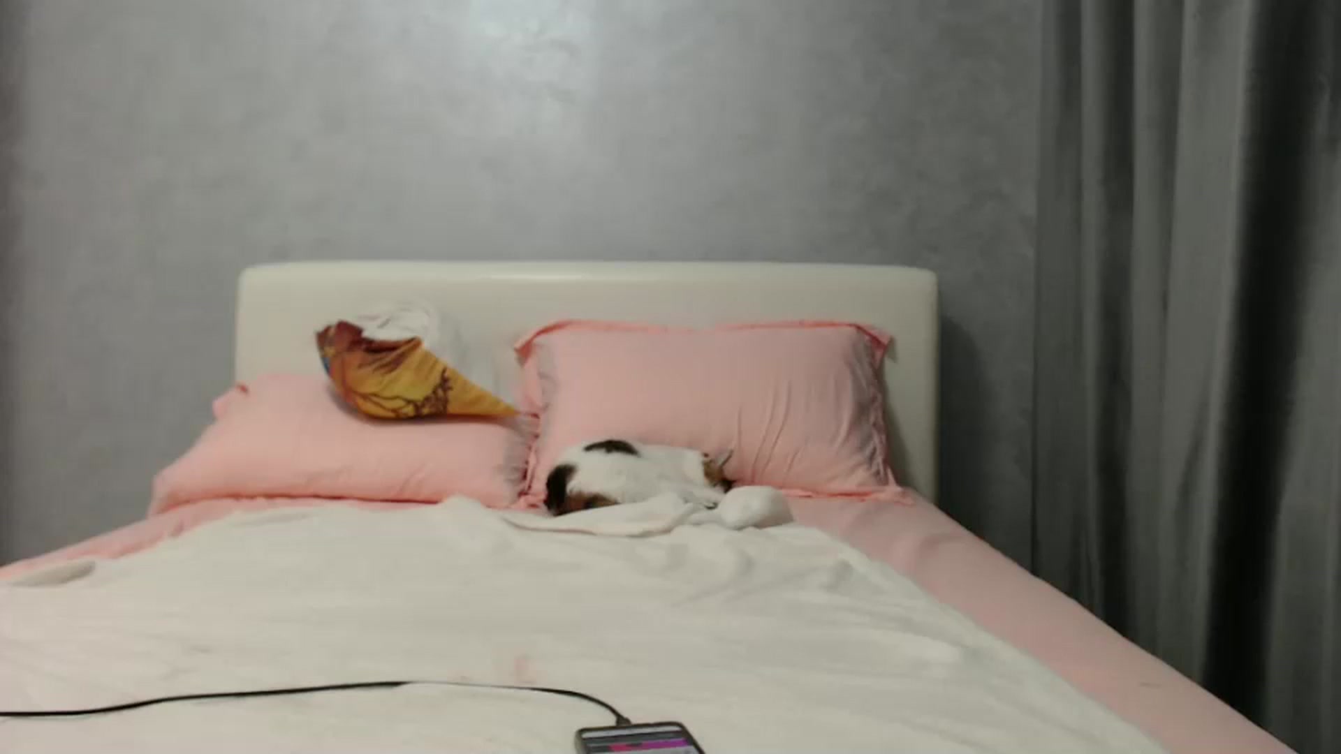 Gallery image thumbnail from Aahh_Emilia's myfreecams stream on, 08/06/2024, 16:41 image 14 of 20