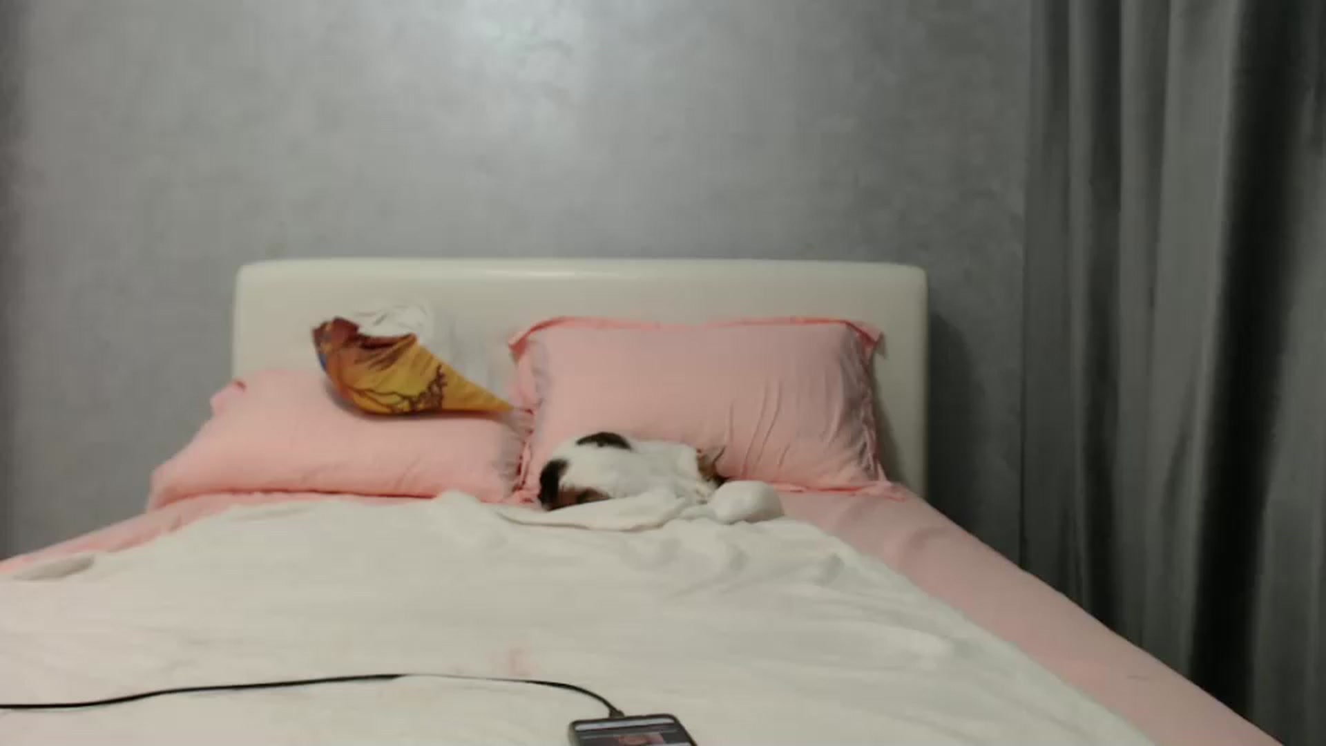 Gallery image thumbnail from Aahh_Emilia's myfreecams stream on, 08/06/2024, 16:41 image 15 of 20
