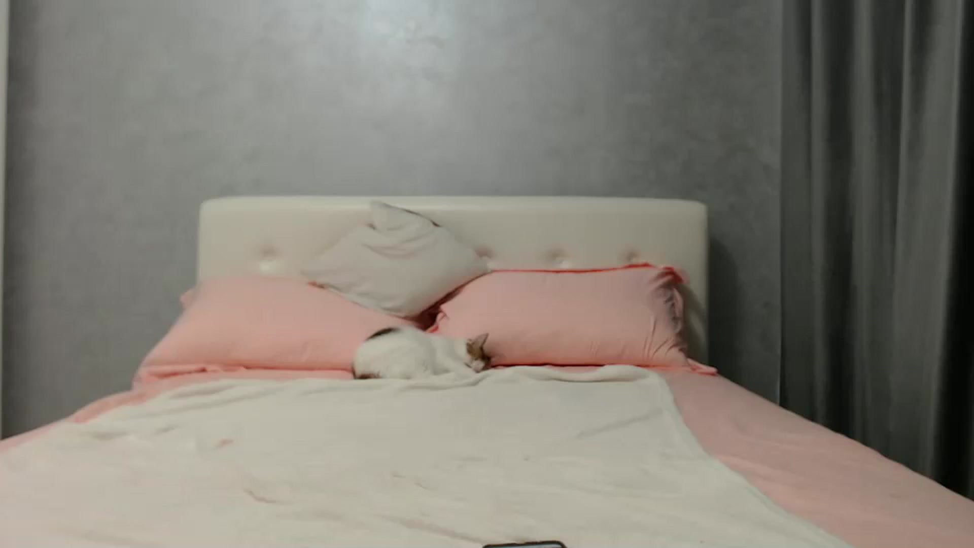 Gallery image thumbnail from Aahh_Emilia's myfreecams stream on, 08/08/2024, 16:44 image 12 of 20