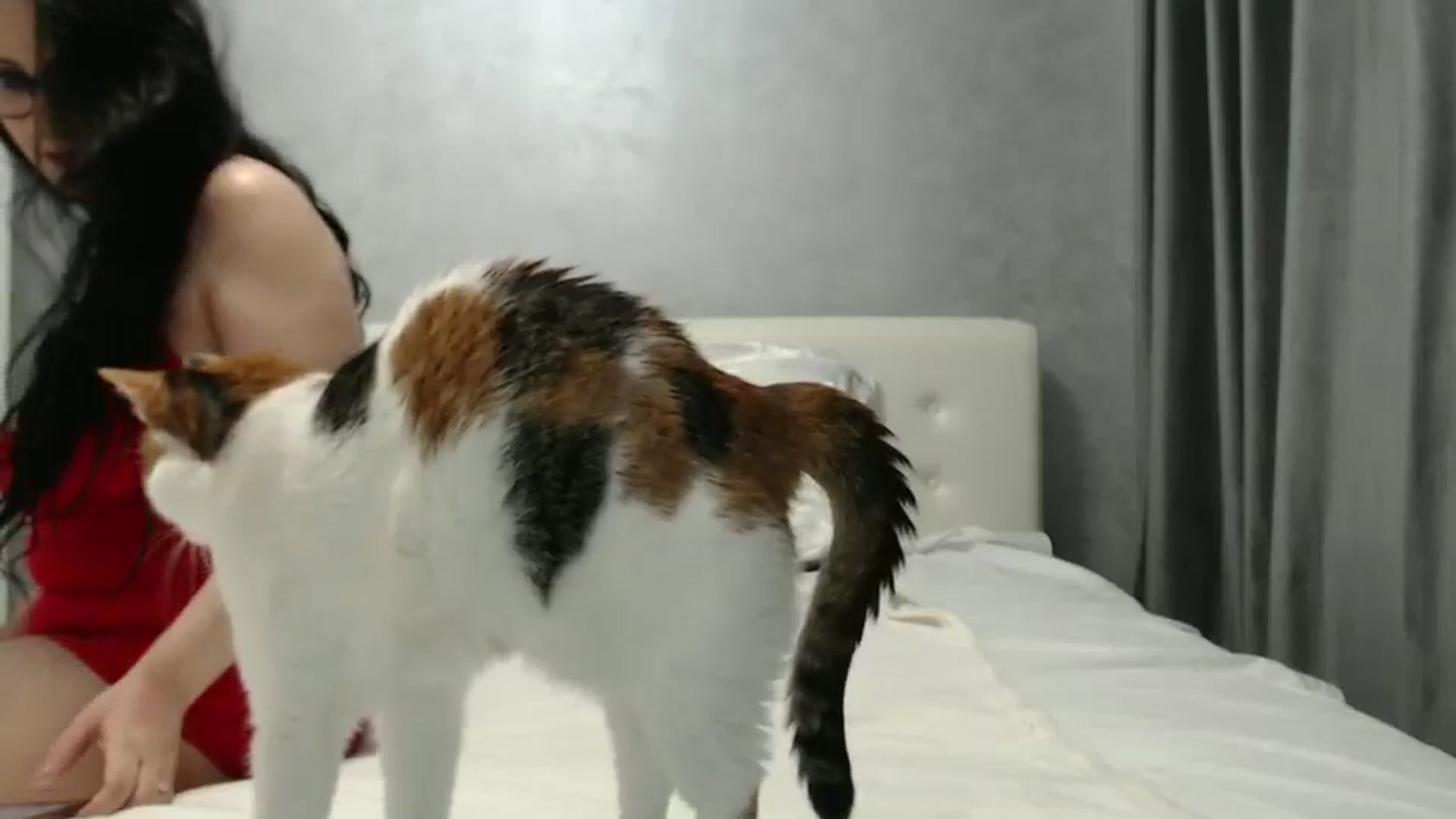Gallery image thumbnail from Aahh_Emilia's myfreecams stream on, 08/14/2024, 16:57 image 12 of 20