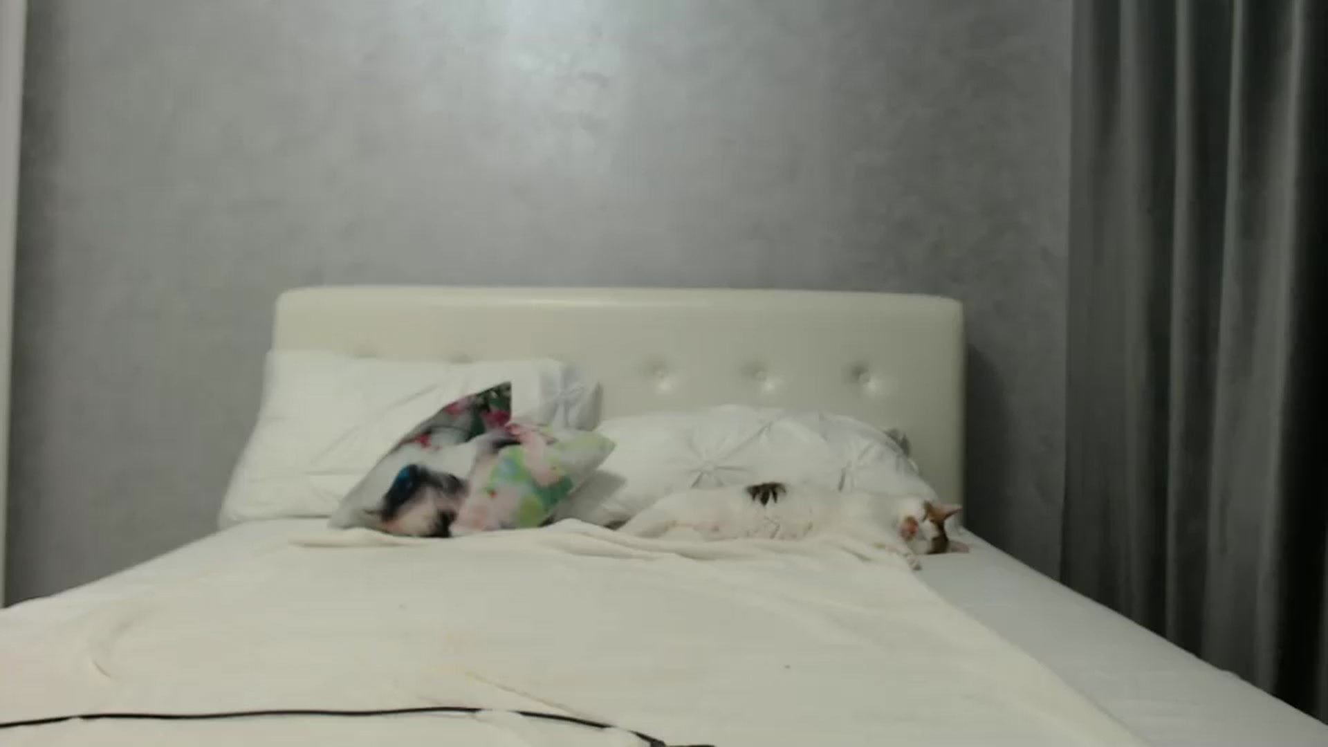 Gallery image thumbnail from Aahh_Emilia's myfreecams stream on, 08/15/2024, 16:31 image 11 of 20