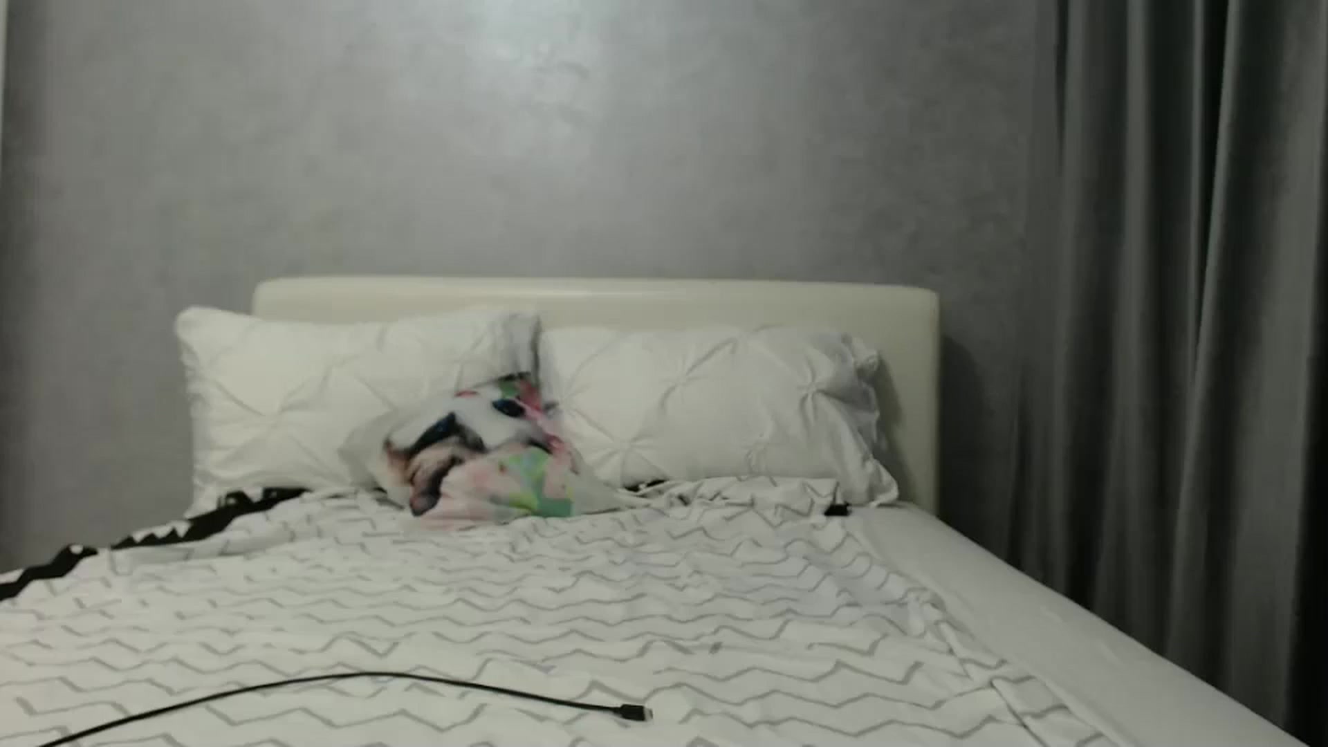 Gallery image thumbnail from Aahh_Emilia's myfreecams stream on, 08/29/2024, 16:53 image 19 of 20