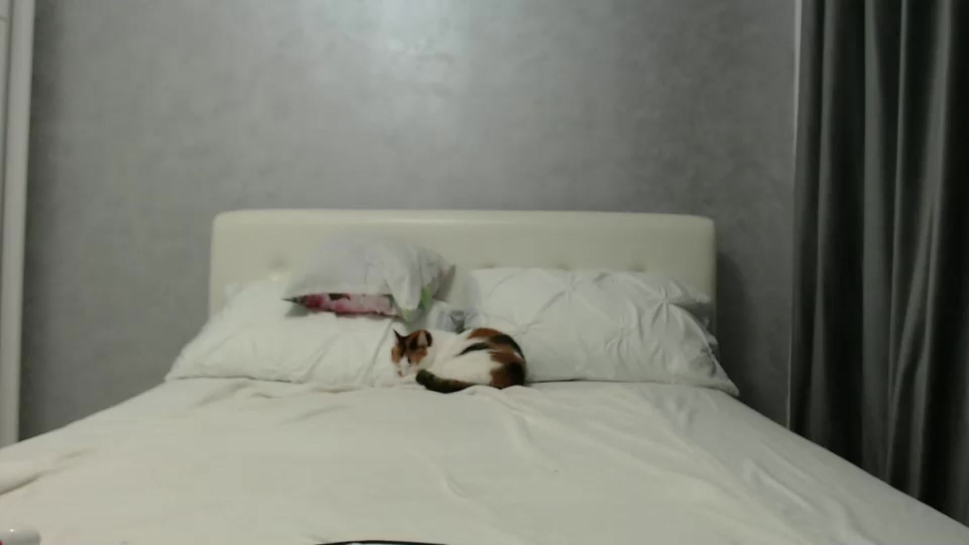 Gallery image thumbnail from Aahh_Emilia's myfreecams stream on, 09/01/2024, 16:18 image 14 of 20