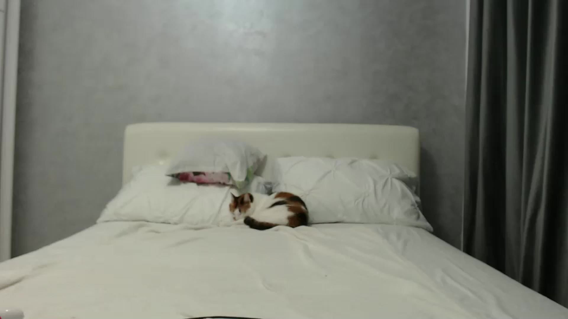 Gallery image thumbnail from Aahh_Emilia's myfreecams stream on, 09/01/2024, 16:18 image 13 of 20