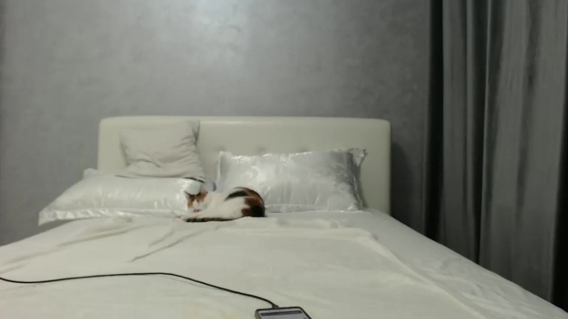 Gallery image thumbnail from Aahh_Emilia's myfreecams stream on, 09/20/2024, 17:19 image 19 of 20