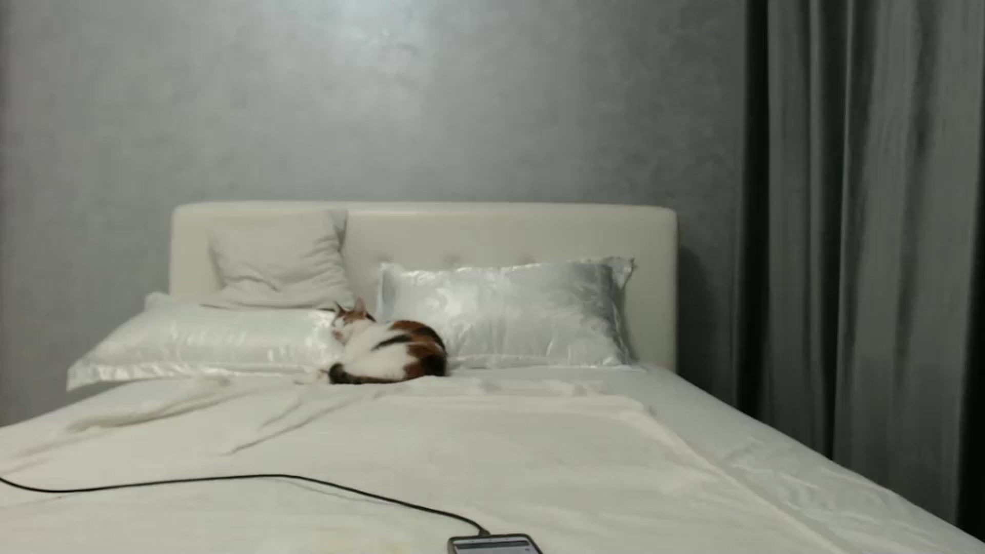 Gallery image thumbnail from Aahh_Emilia's myfreecams stream on, 09/20/2024, 17:19 image 10 of 20