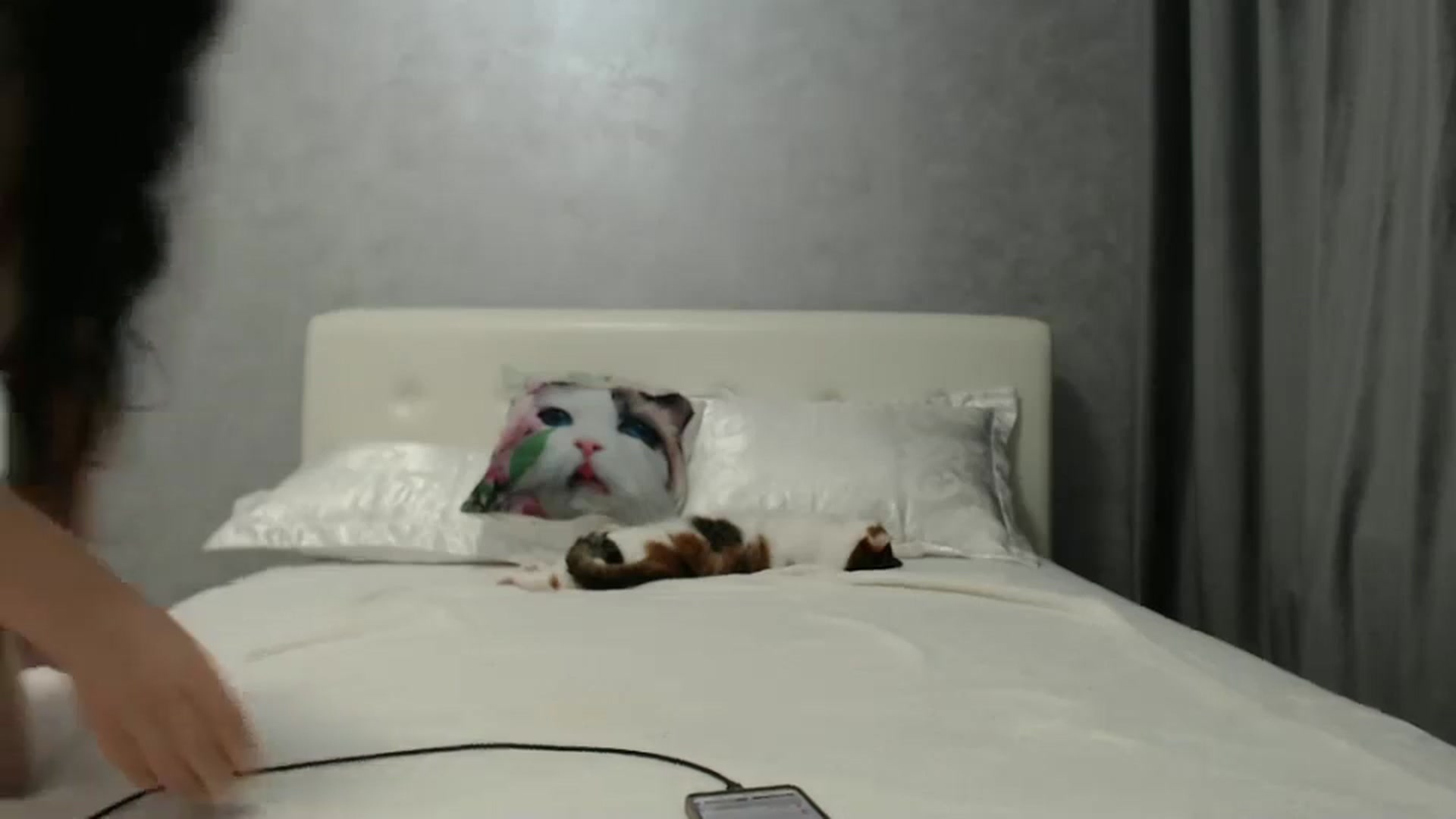 Gallery image thumbnail from Aahh_Emilia's myfreecams stream on, 09/21/2024, 16:14 image 17 of 20