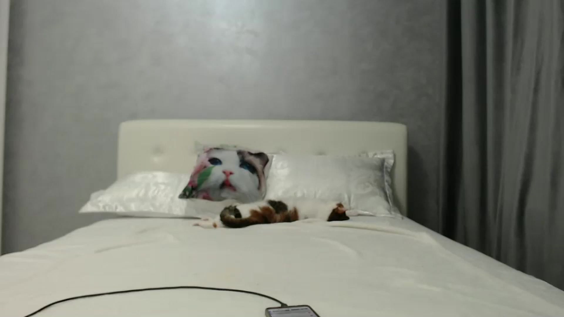 Gallery image thumbnail from Aahh_Emilia's myfreecams stream on, 09/21/2024, 16:14 image 16 of 20