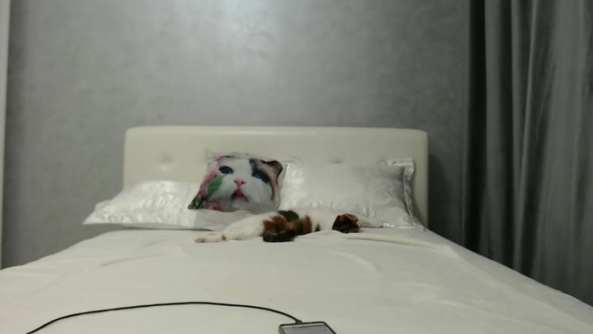 Gallery image thumbnail from Aahh_Emilia's myfreecams stream on, 09/21/2024, 16:14 image 12 of 20