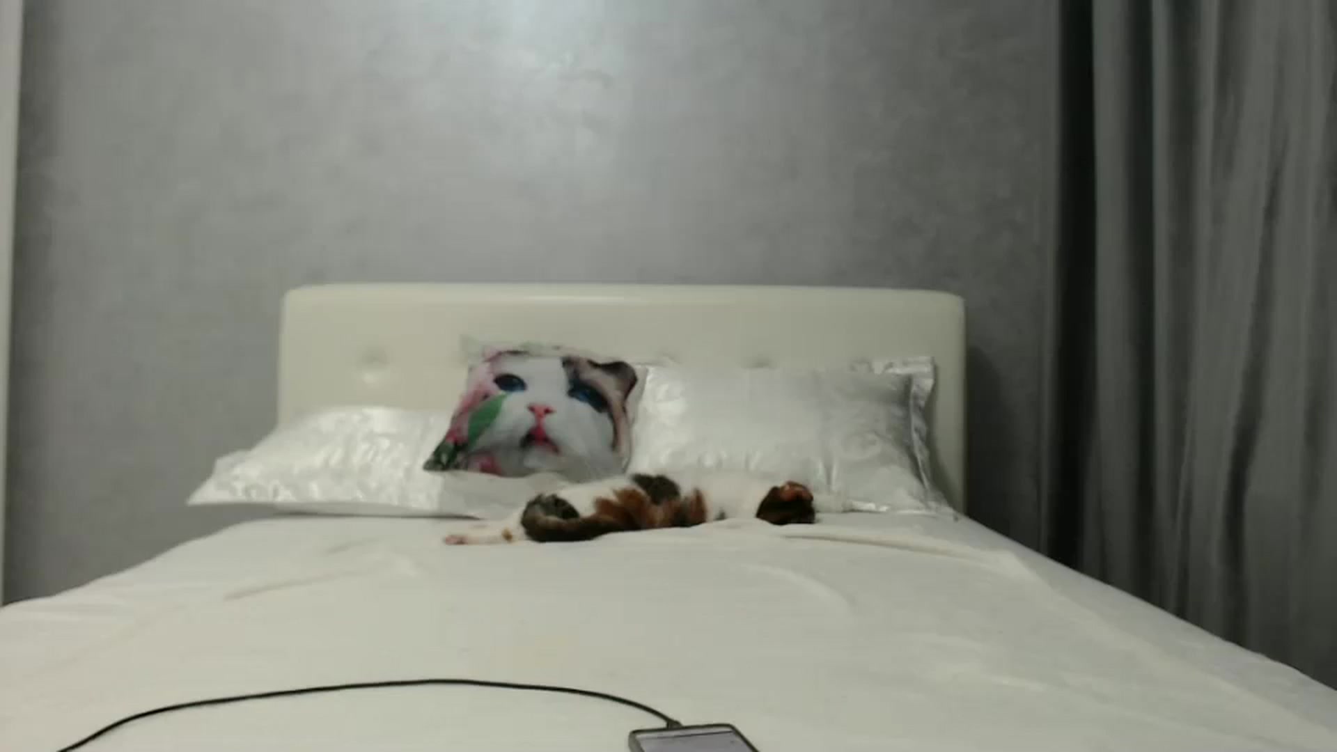 Gallery image thumbnail from Aahh_Emilia's myfreecams stream on, 09/21/2024, 16:14 image 13 of 20